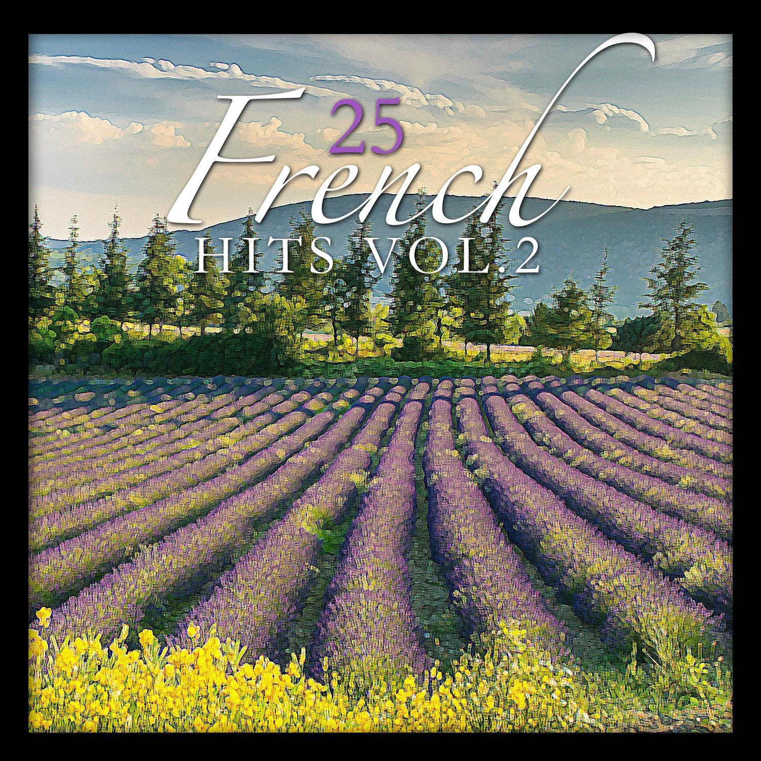 25 French Hits Vol. 2