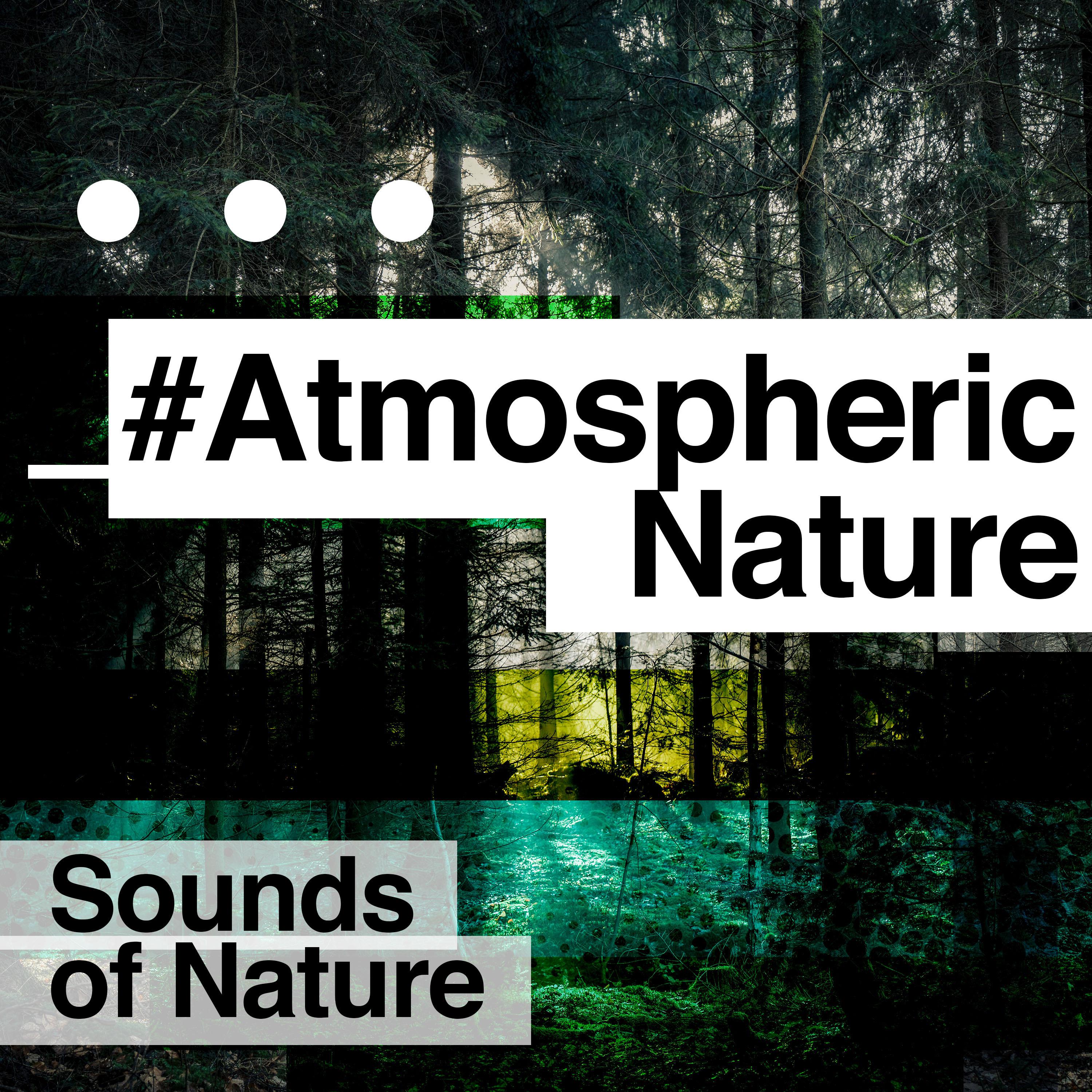 #AtmosphericNature