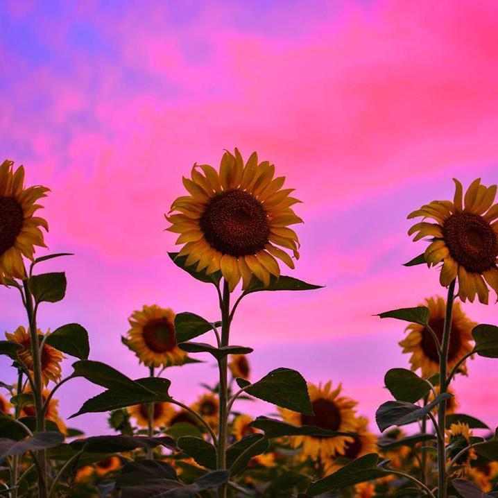 Lil Keed x Gunna x Wheezy Type Beat "Mayojam"