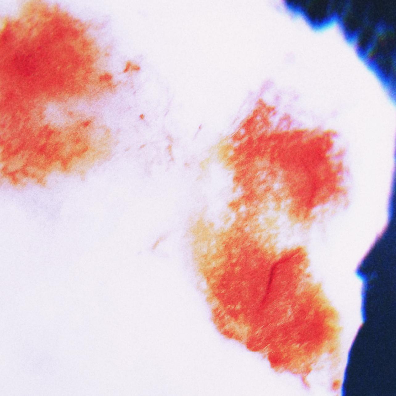 zai jian ying huo chong