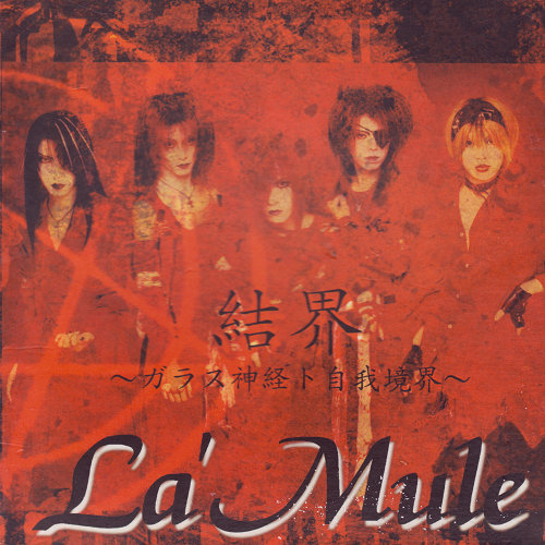 Sterilization ~jigakyoukai~