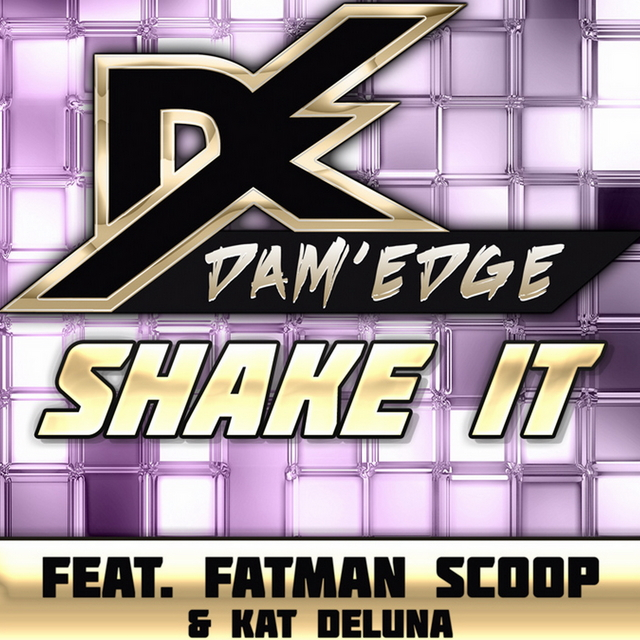 shake it (jim zerga   chris vallee remix)