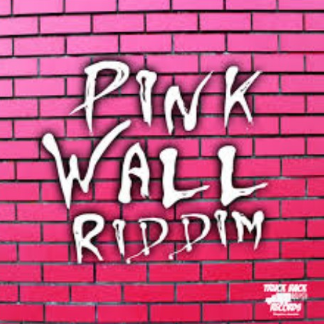 Pink Wall Riddim (Promo CD)