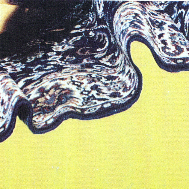 Inflicted Inflexions A