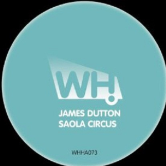 Saola Circus (Tim Andresen Remix)