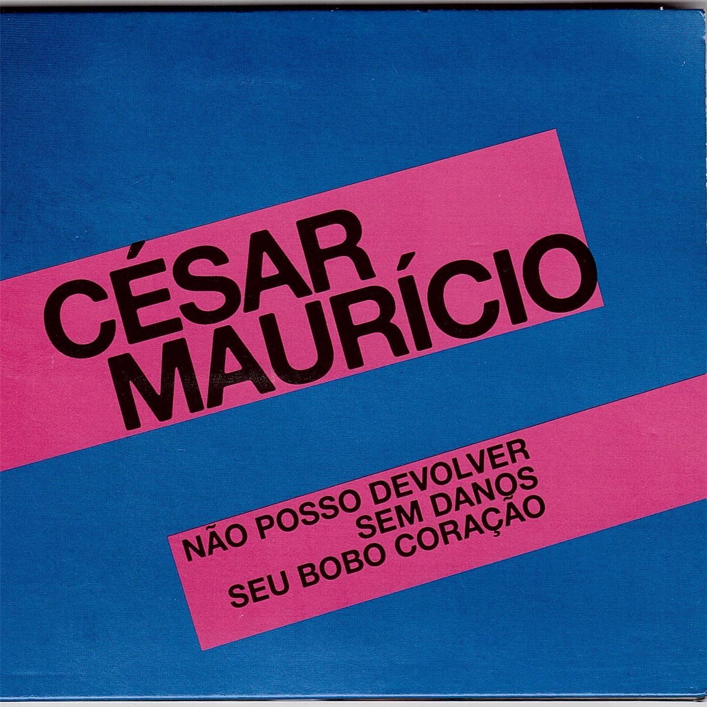 N o Posso Devolver Sem Danos Seu Bobo Cora o