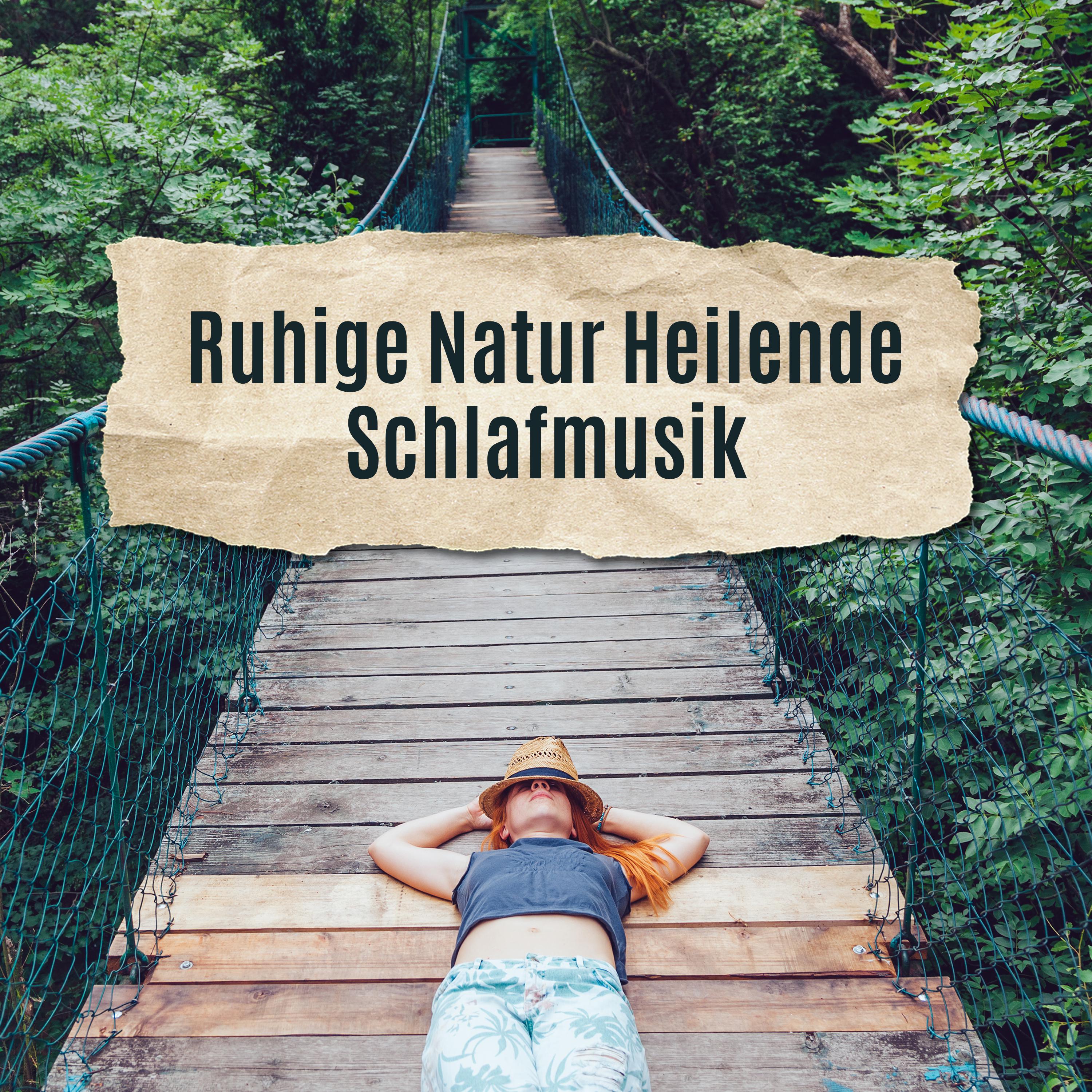 Ruhige Natur Heilende Schlafmusik (Detox Negative Emotionen, Sofortige Linderung von Stress und Angst)