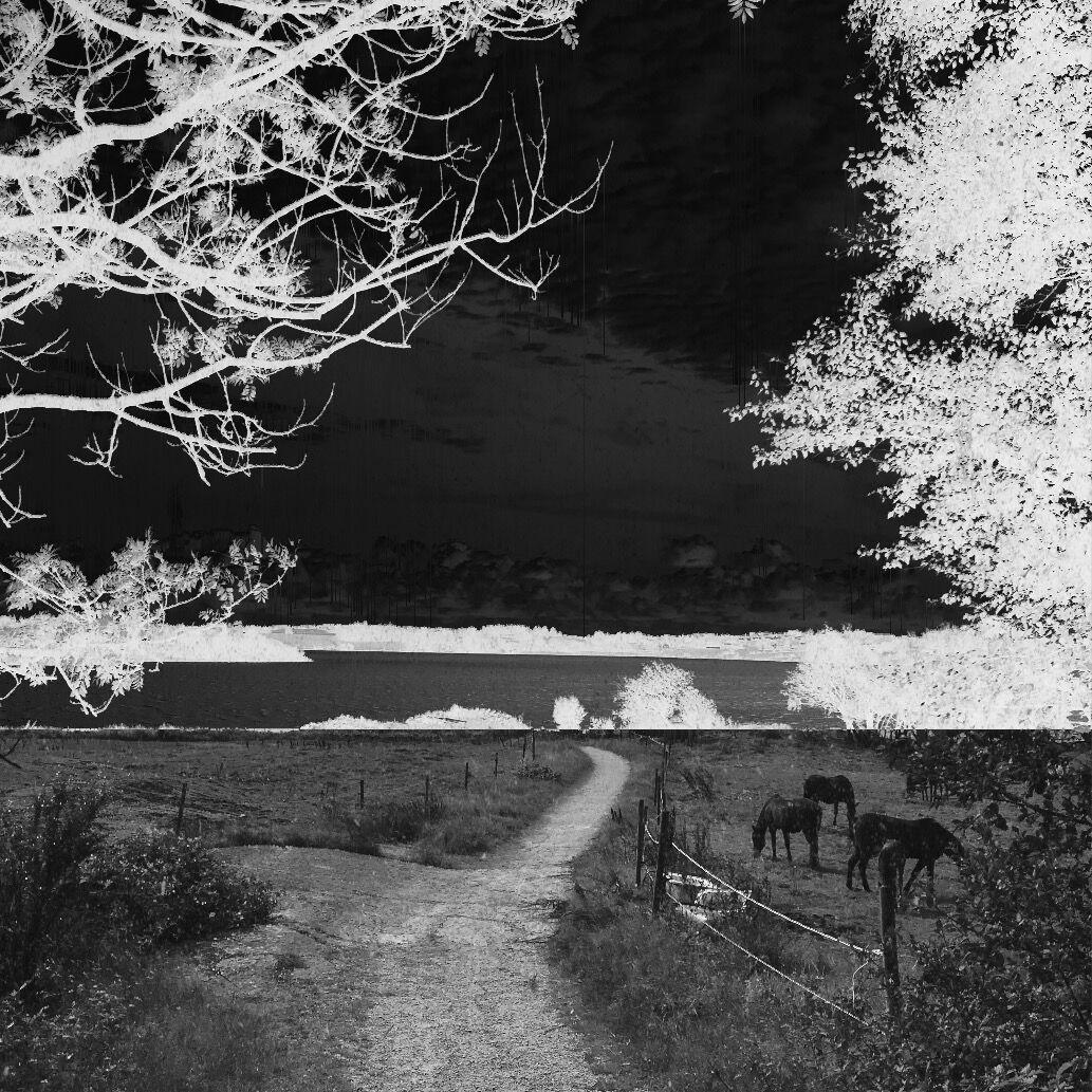 xiao hei de mao xian