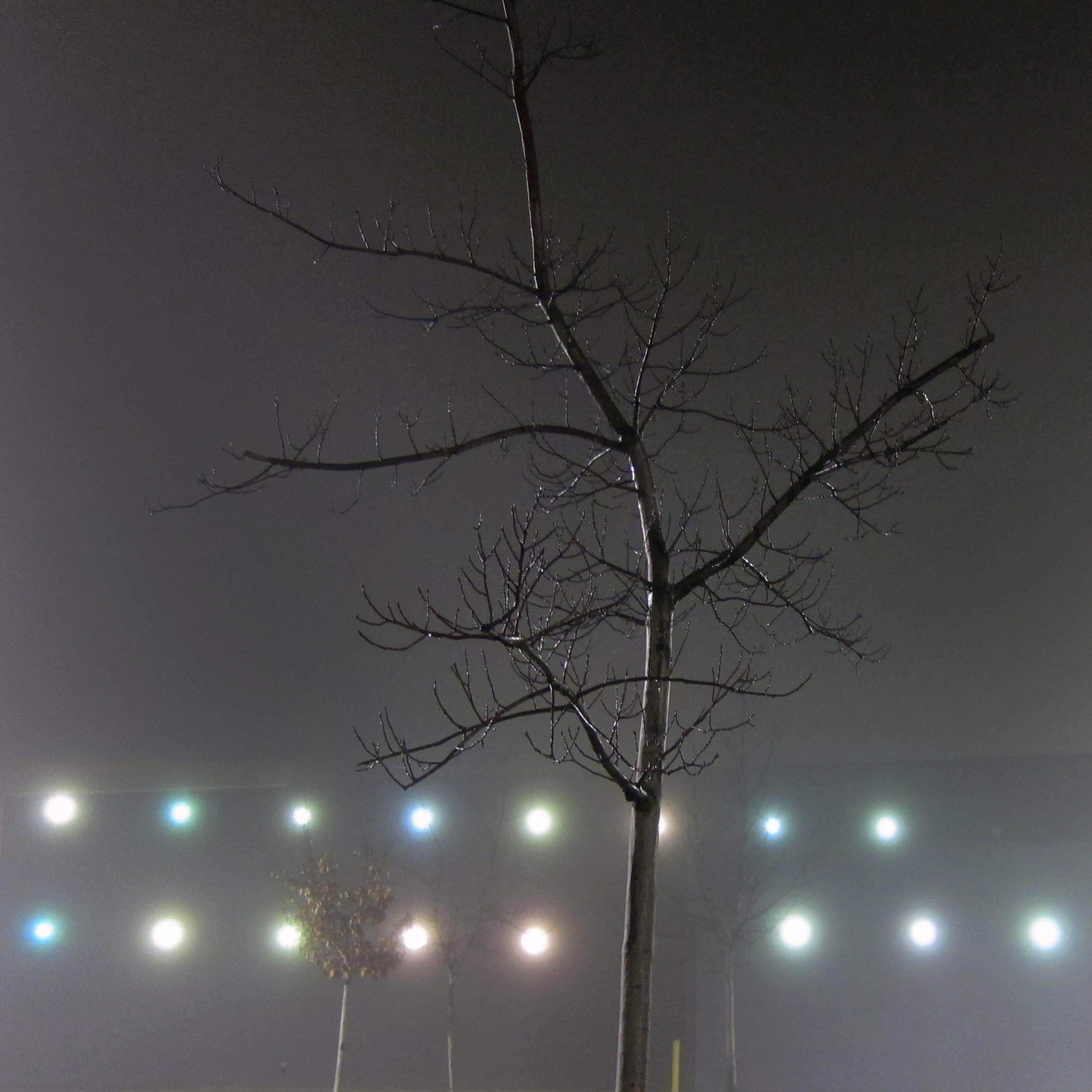 My Social Life Is Almost on the Verge of Dying