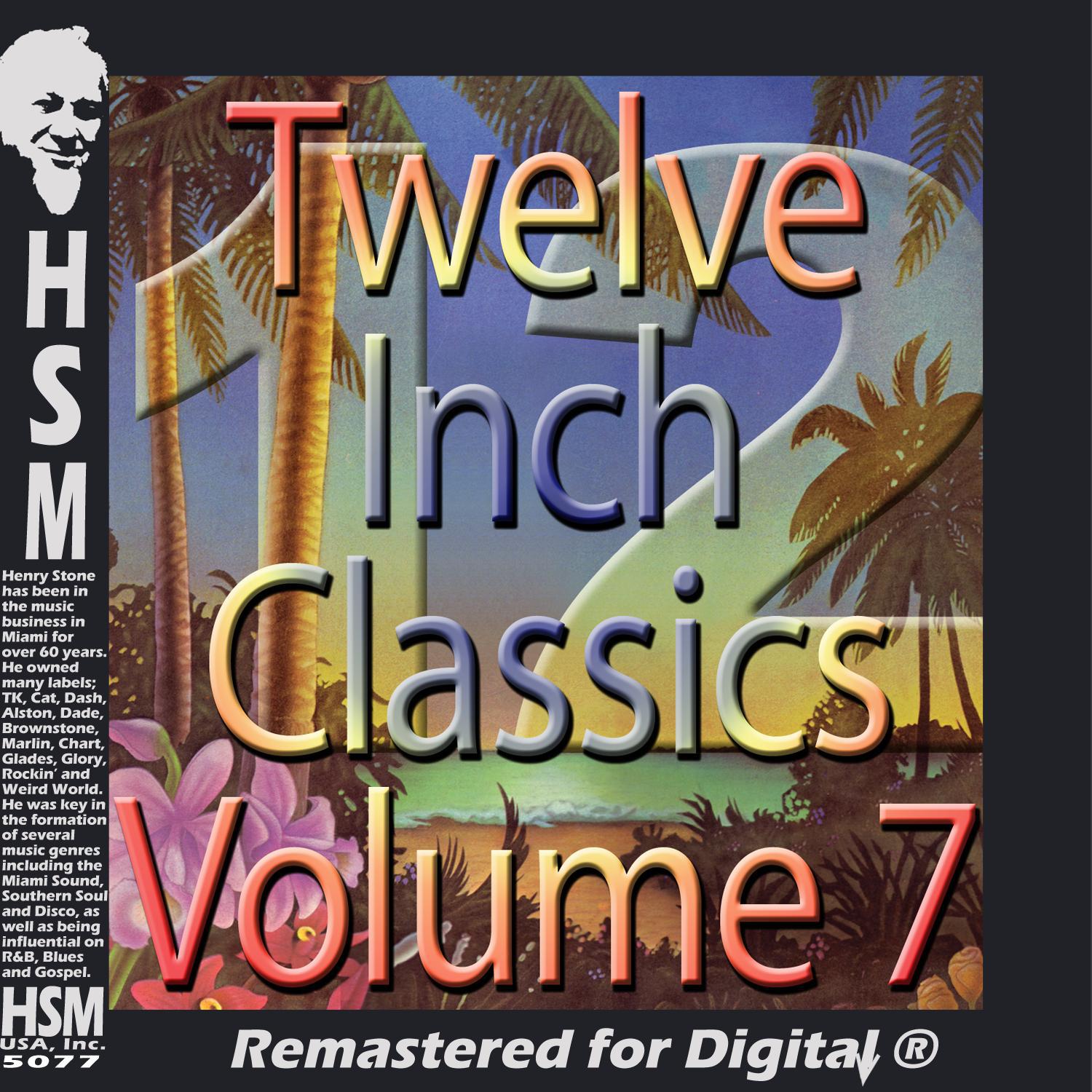 Twelve Inch Disco Classics from the 70s, Vol. 7