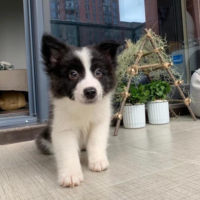 zai bu qu zuo xiang zuo de shi ni ye yao kai xue or shang ban la!