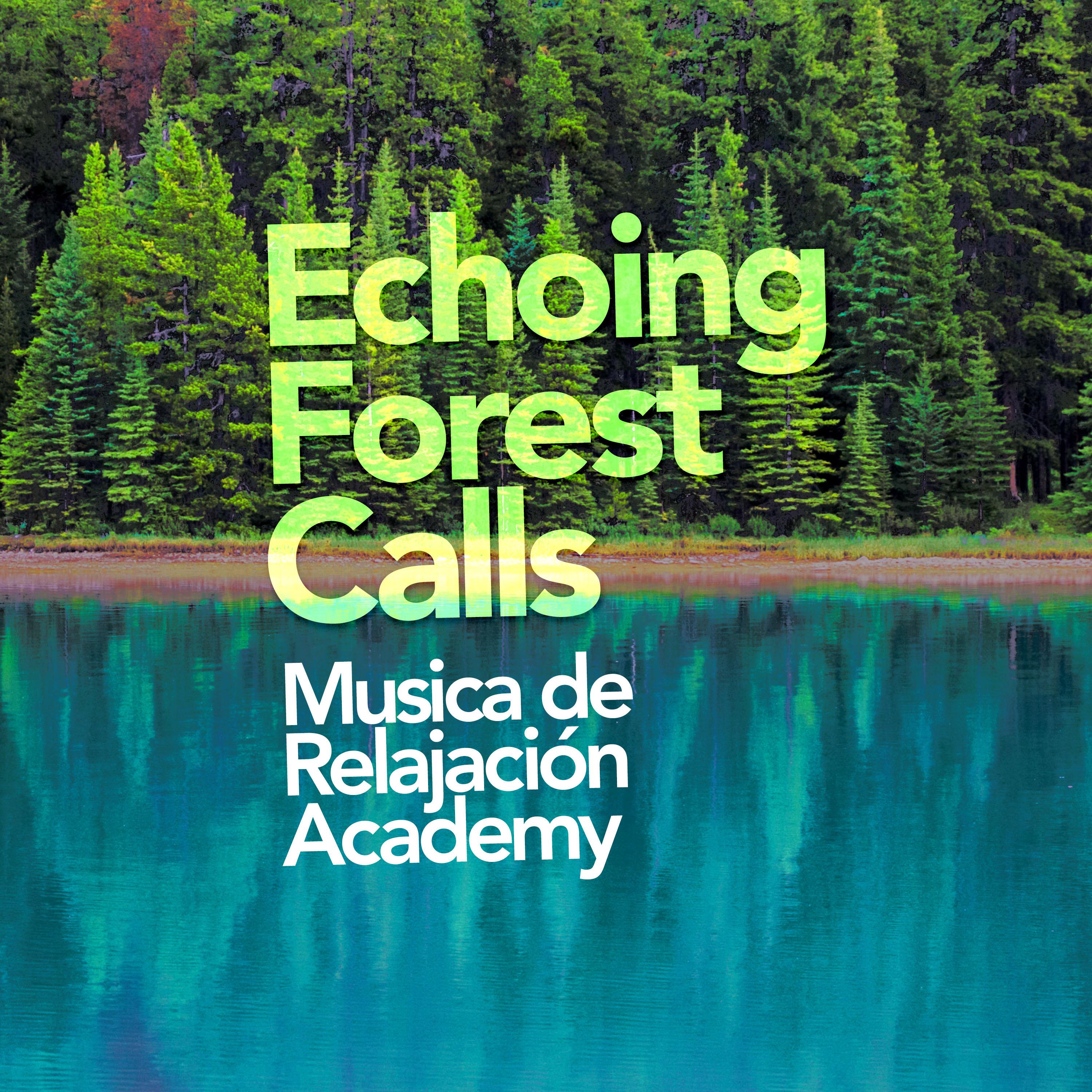 Echoing Forest Calls