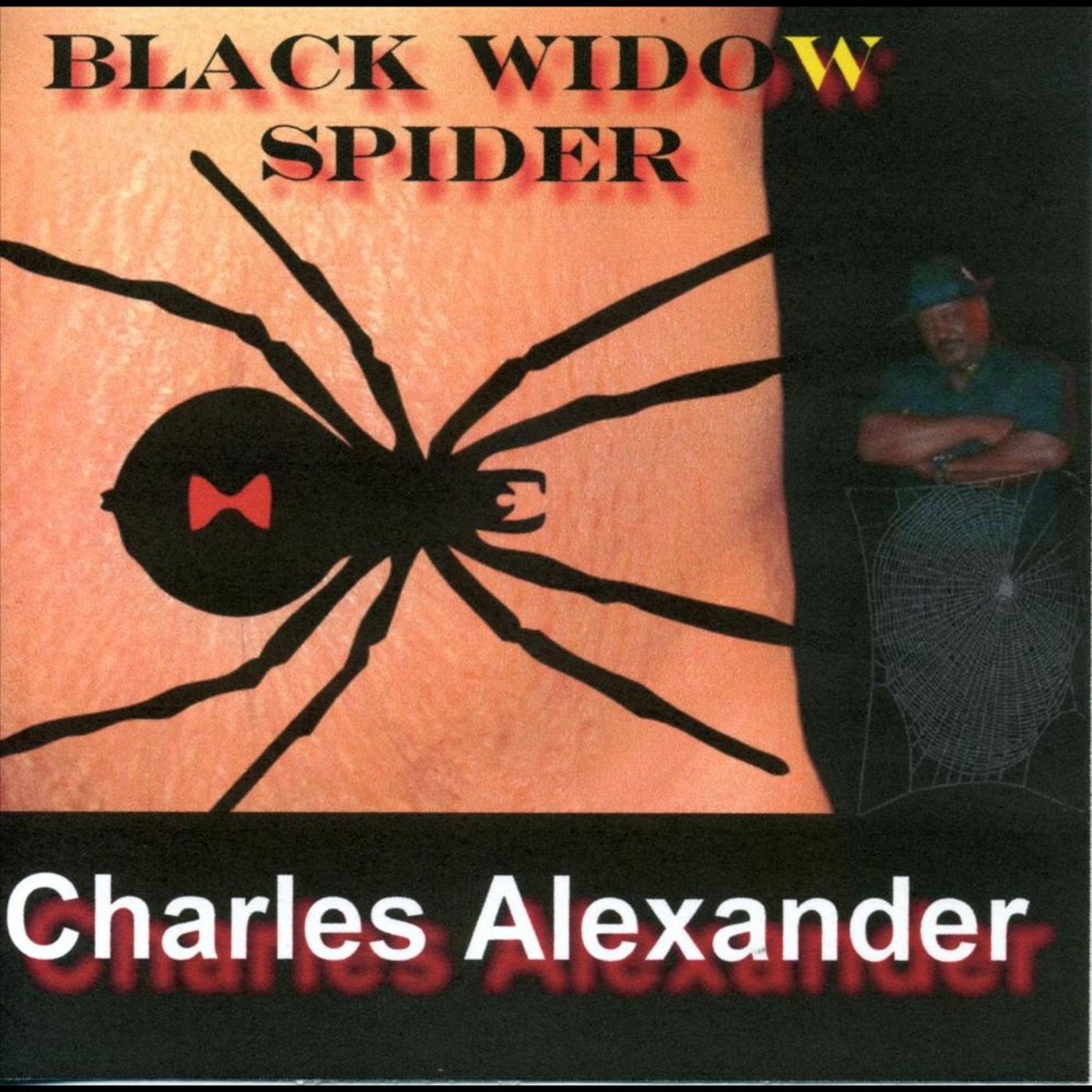 Black Widow Spider