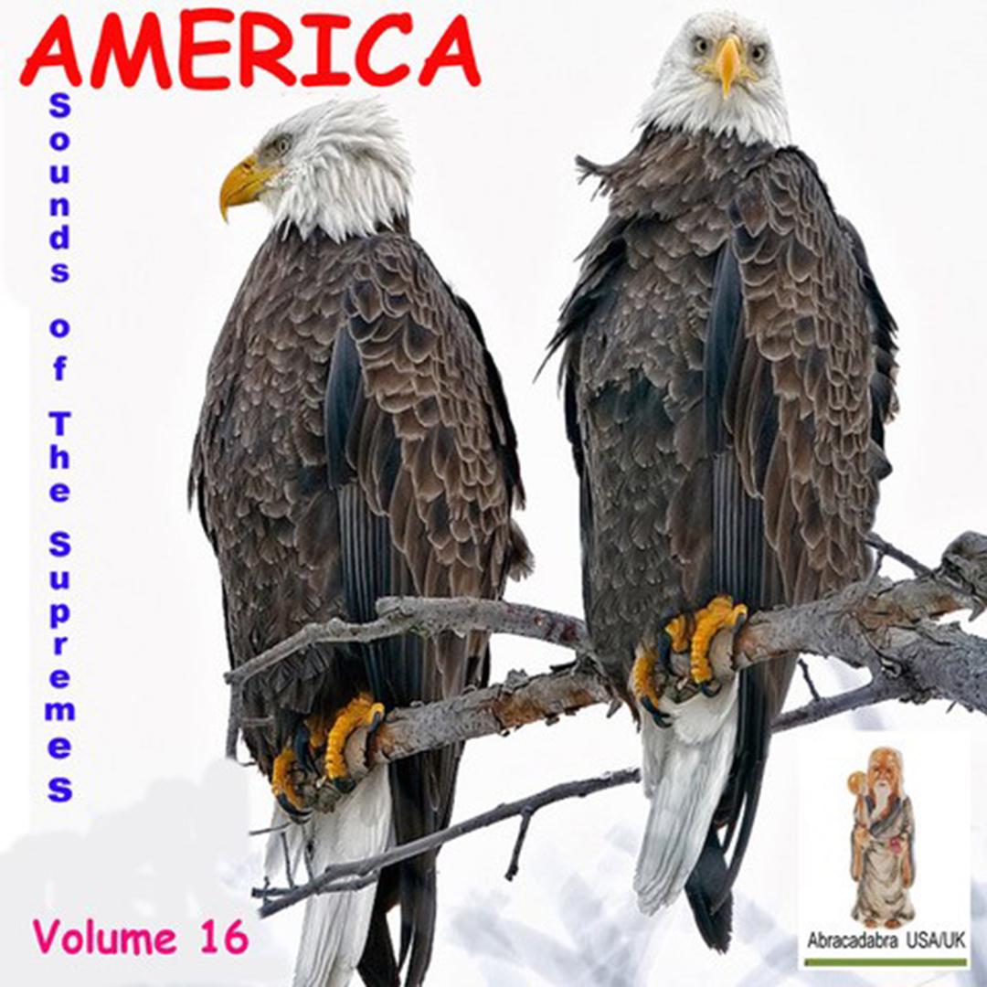 America, Vol. 16