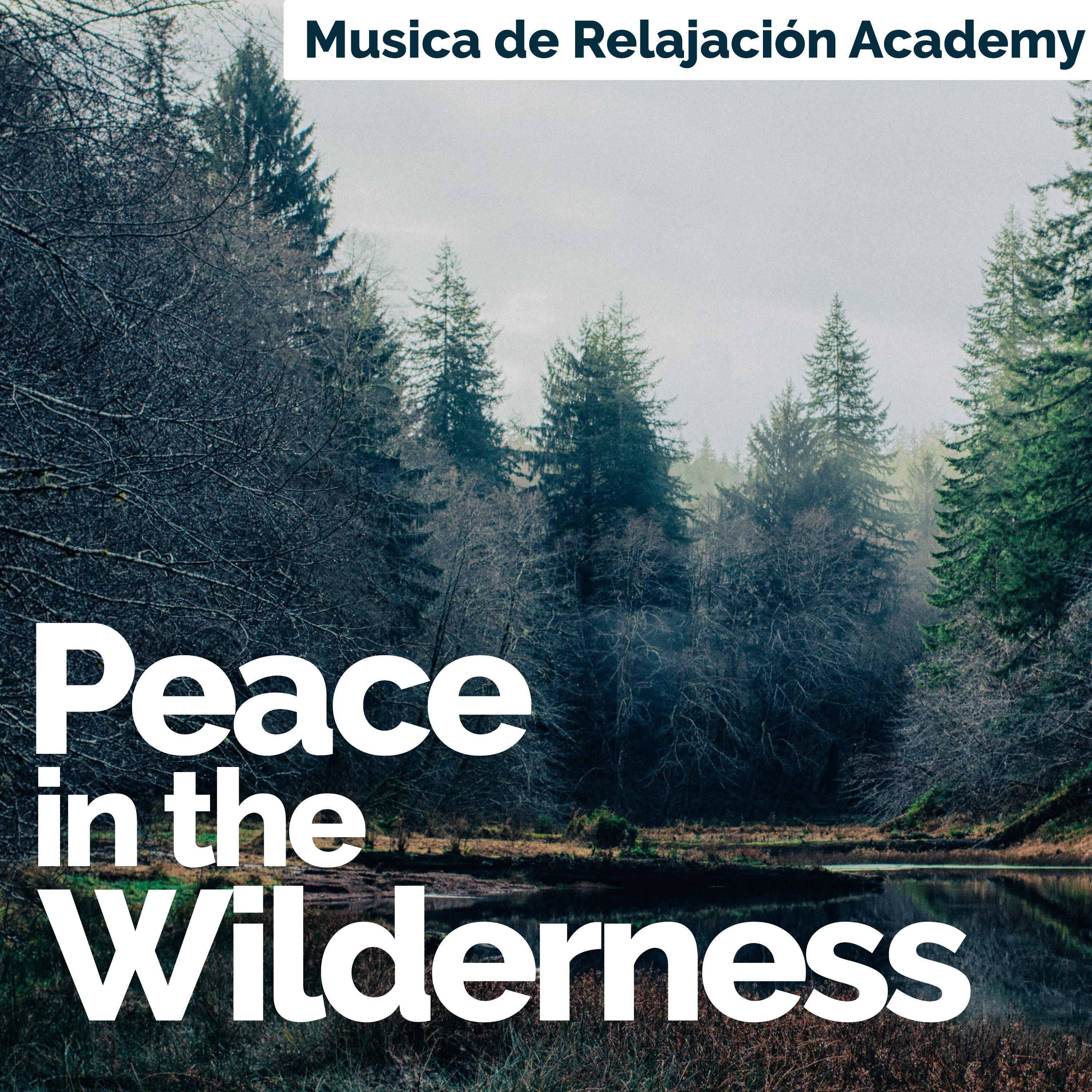 Peace in the Wilderness