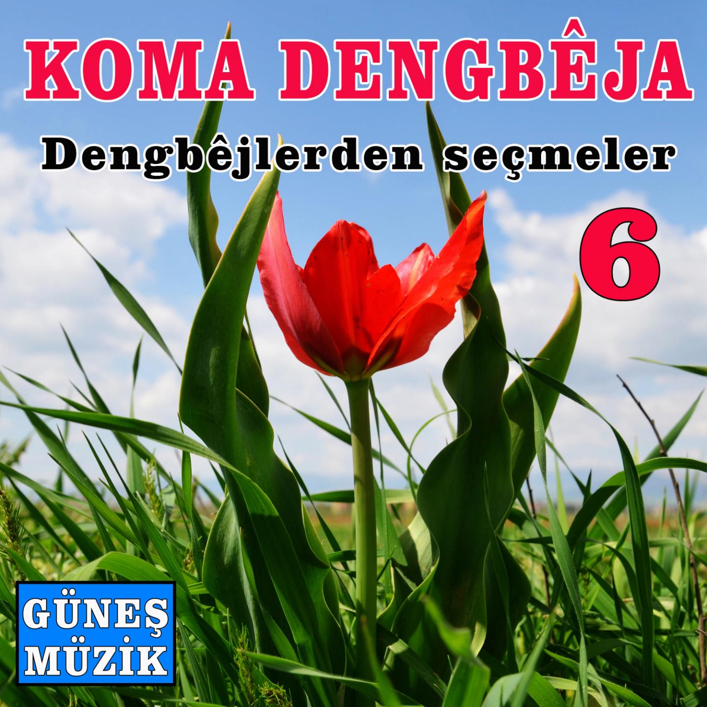 Dengbejlerden Se meler, Vol. 6
