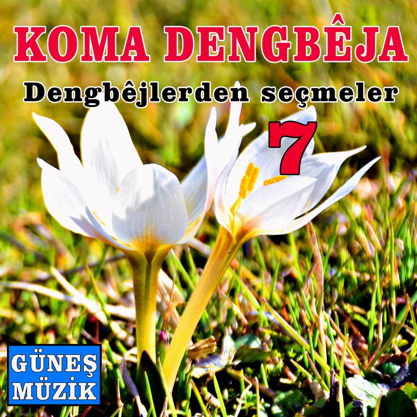 Dengbejlerden Se meler, Vol. 7