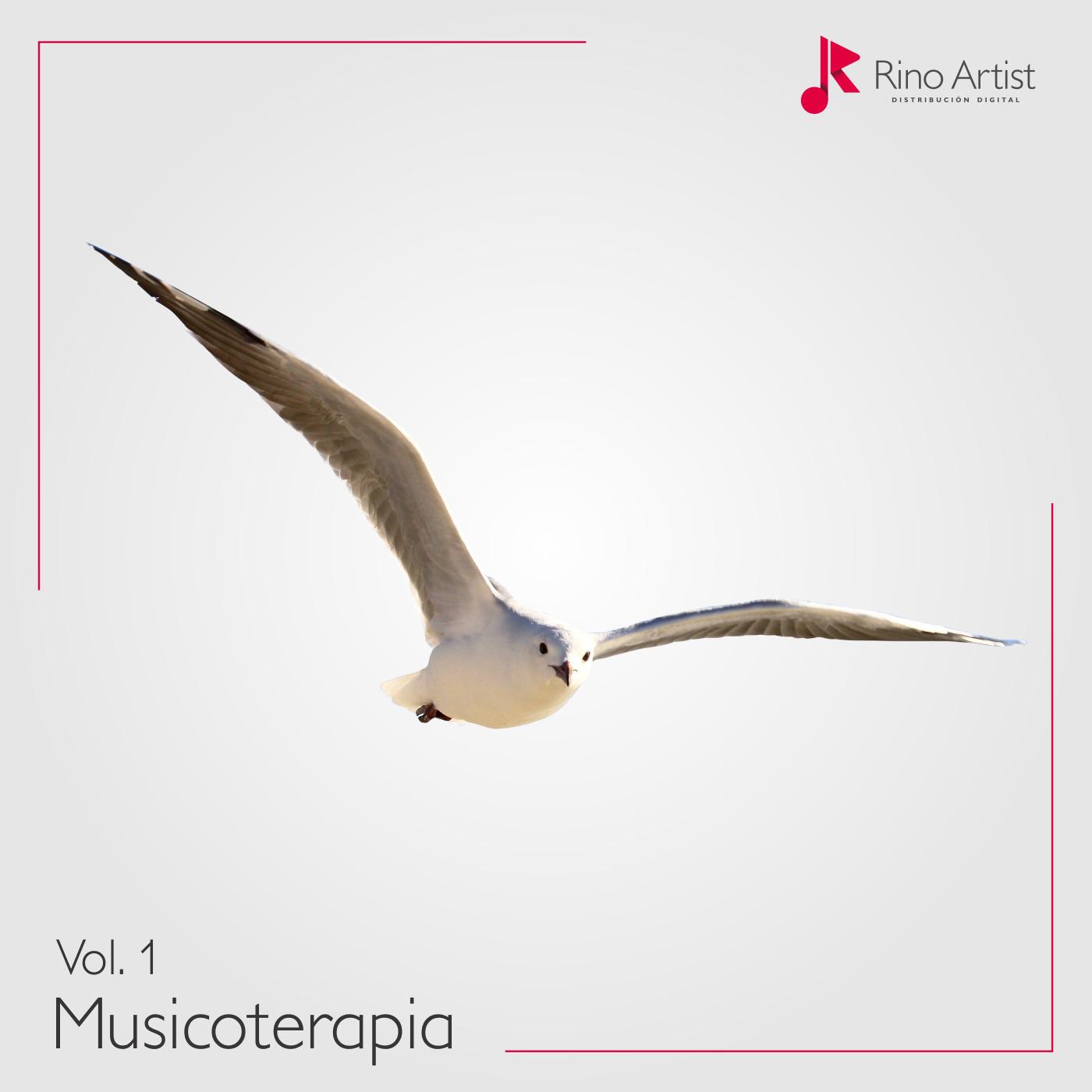 Musicoterapia, Vol. 1