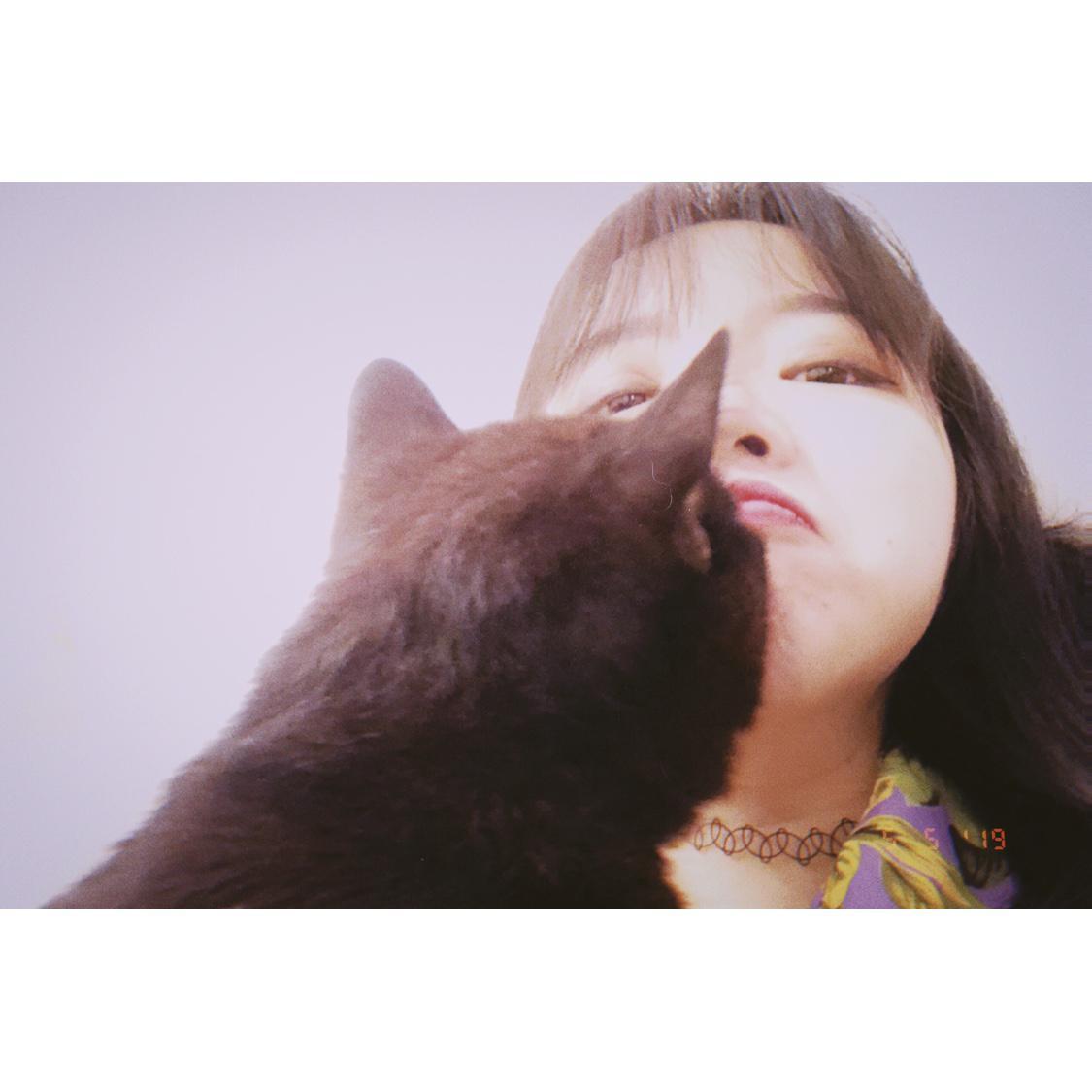 wo bu xi wang ni gu dan de qu mian dui zheng ge xuan hua shi jie