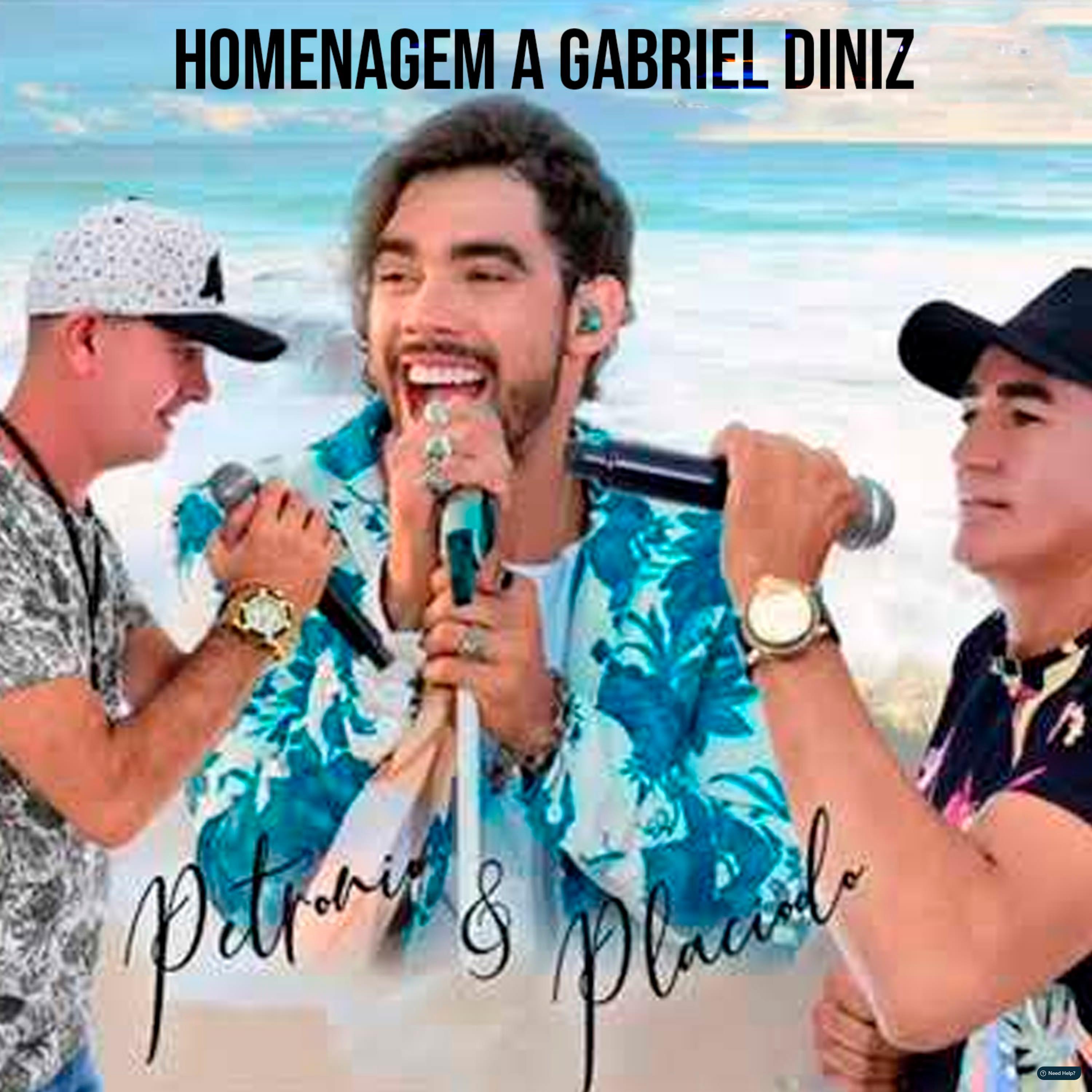 Homenagem a Gabriel Diniz