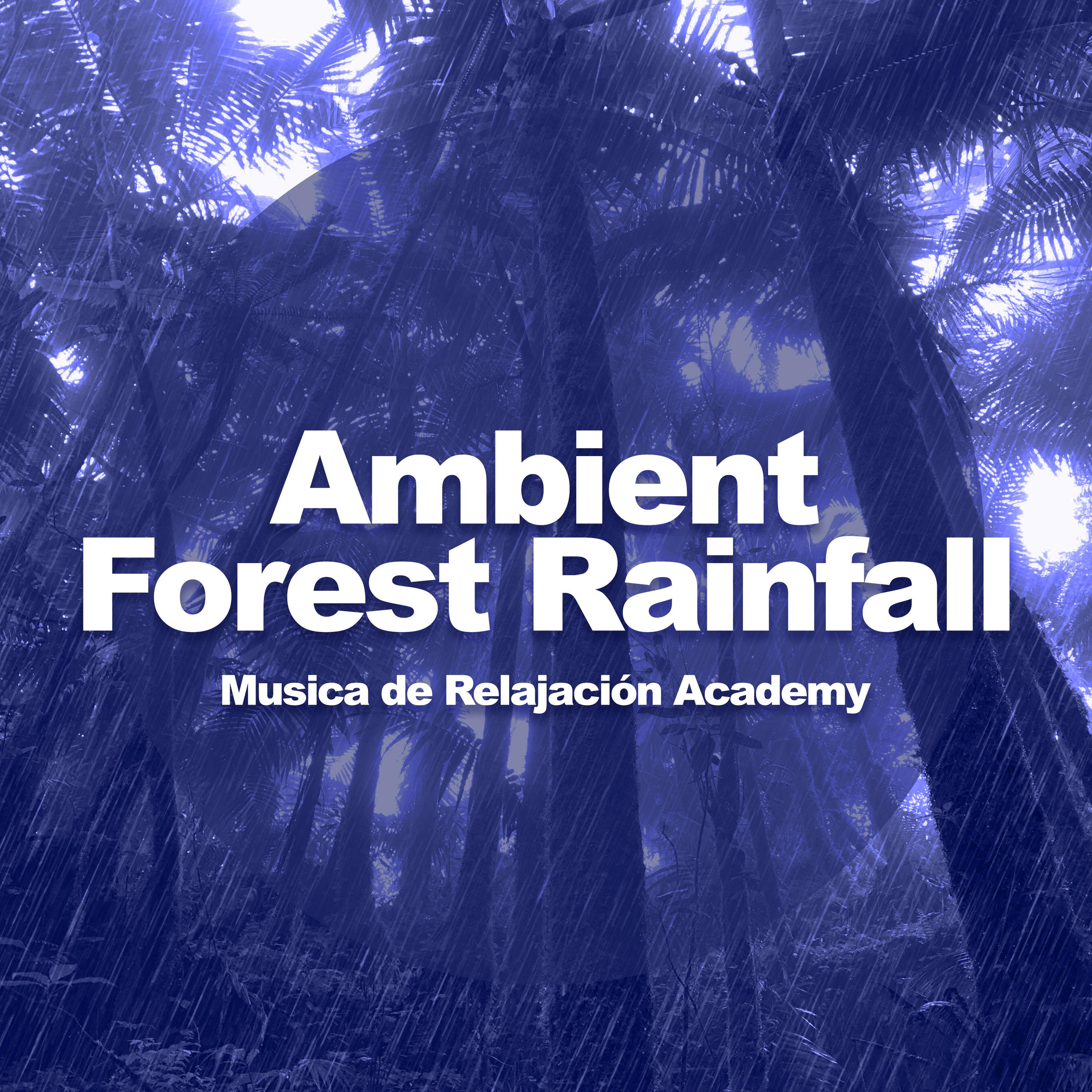 Ambient Forest Rainfall