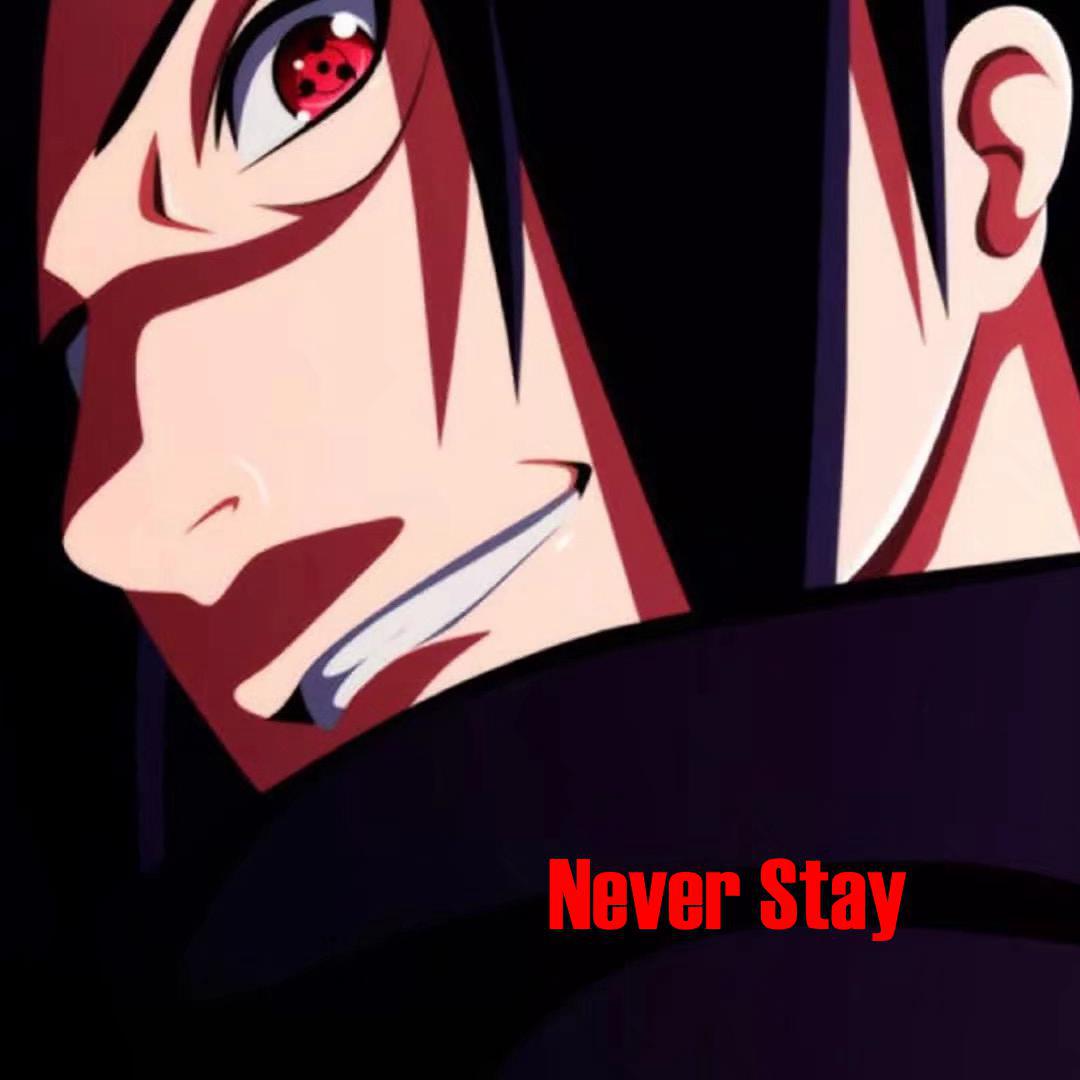 Never stay