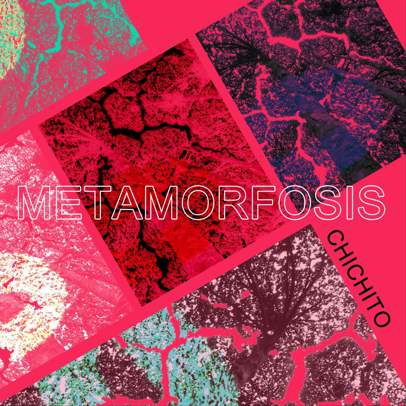 Metamorfosis