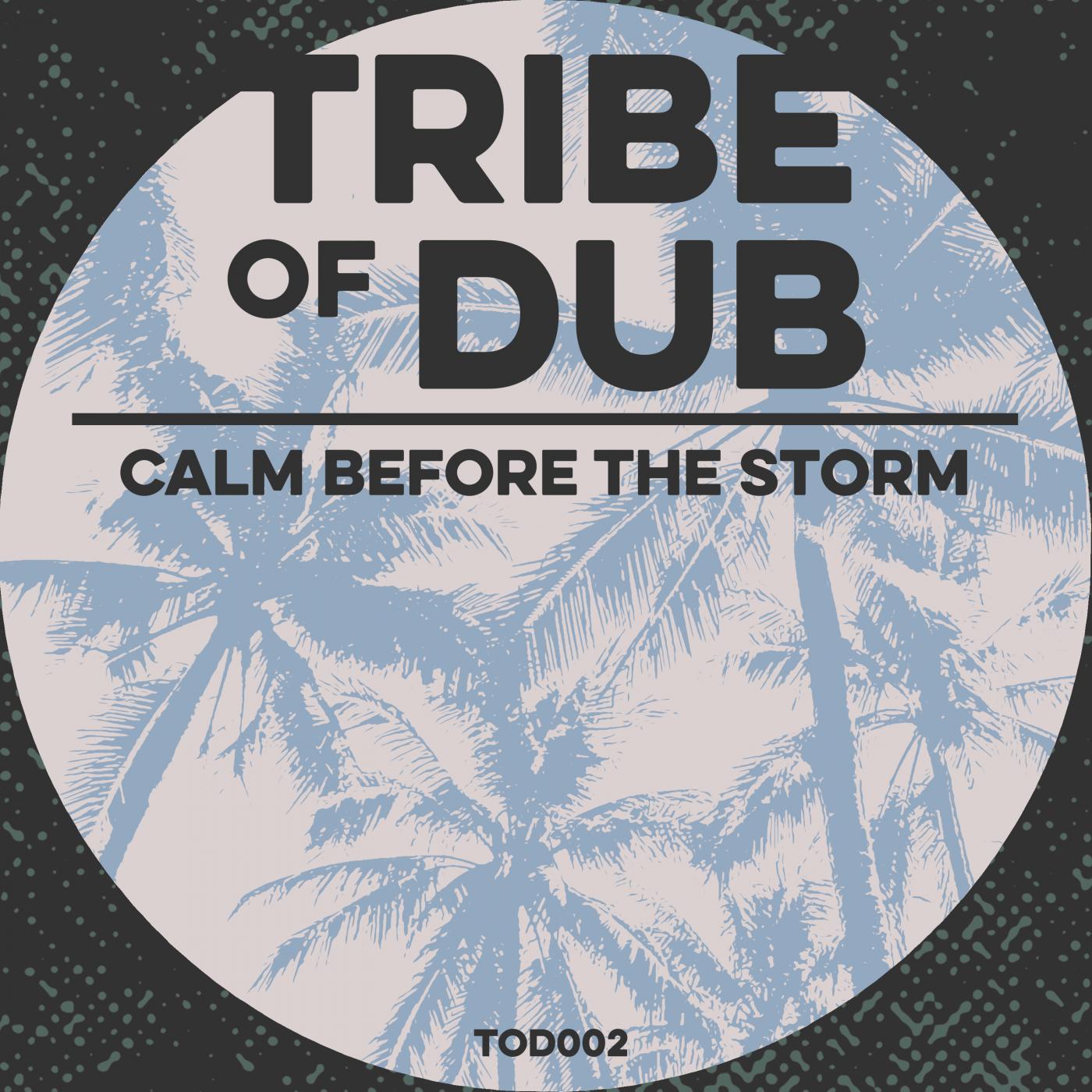 Calm Before The Storm