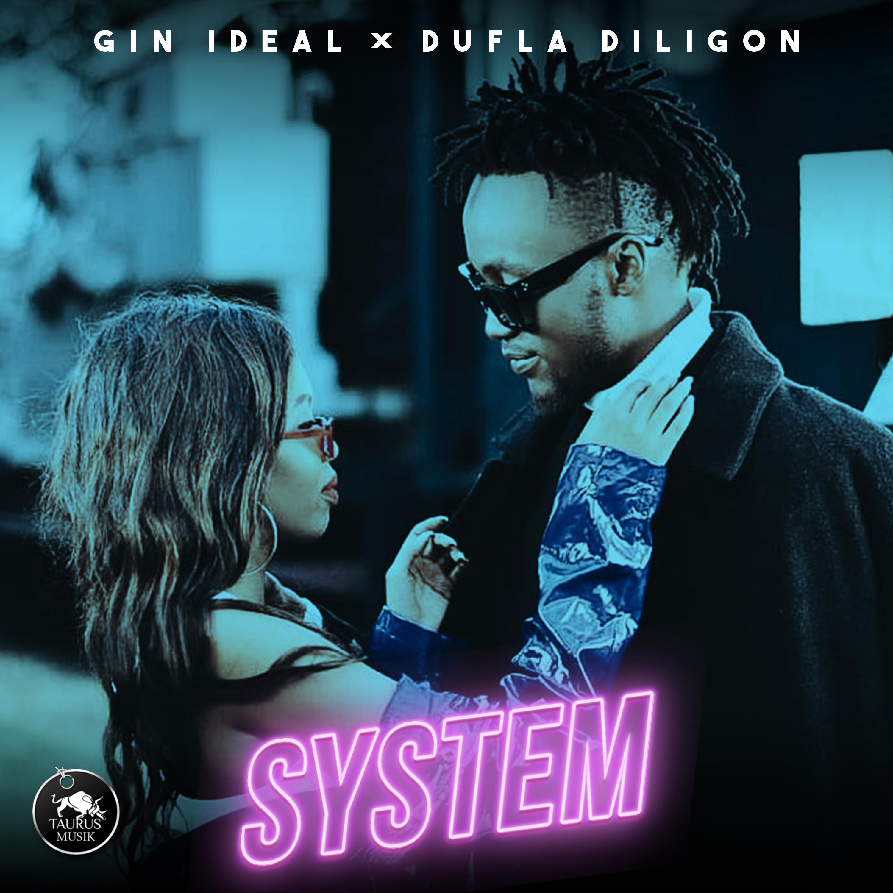 System