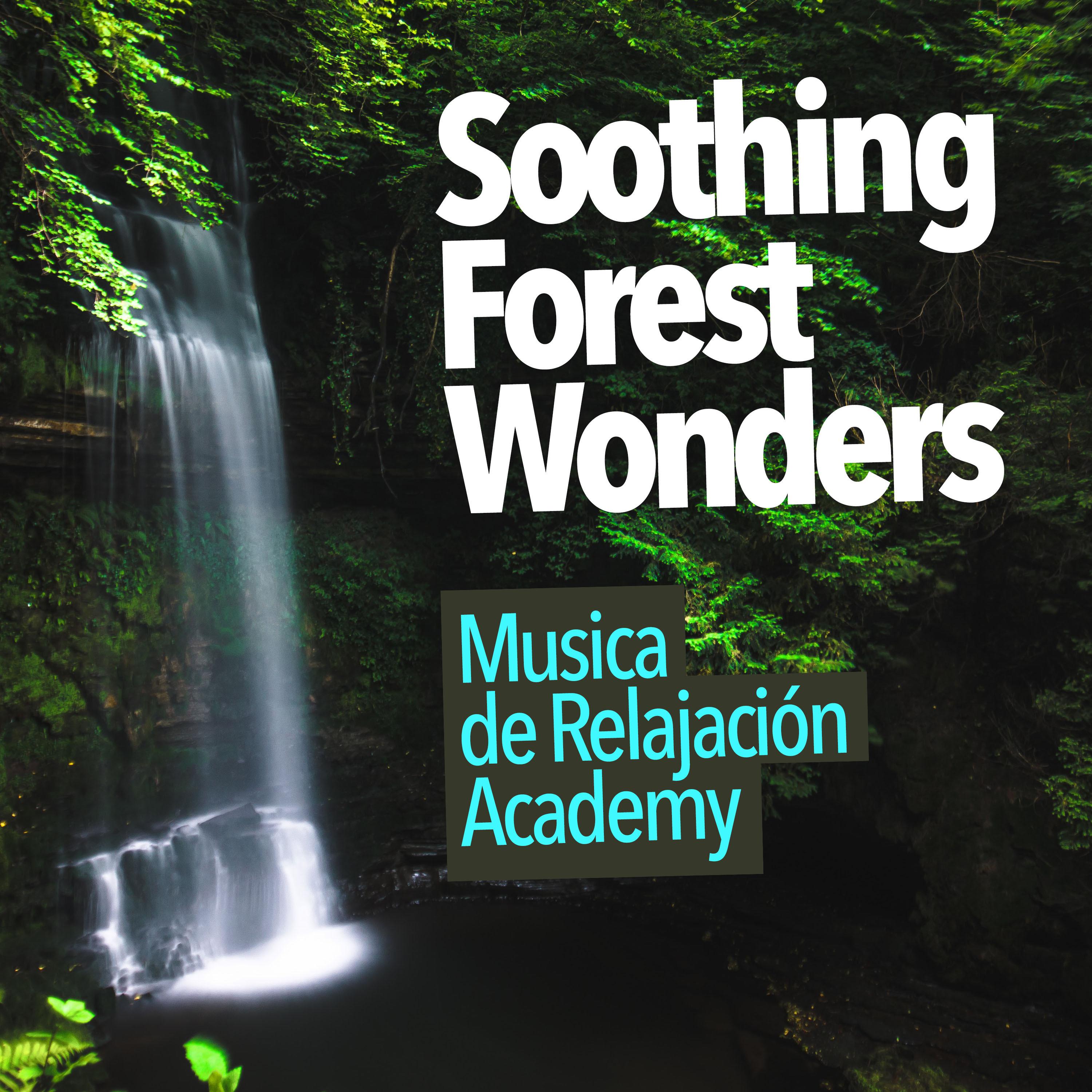 Soothing Forest Wonders