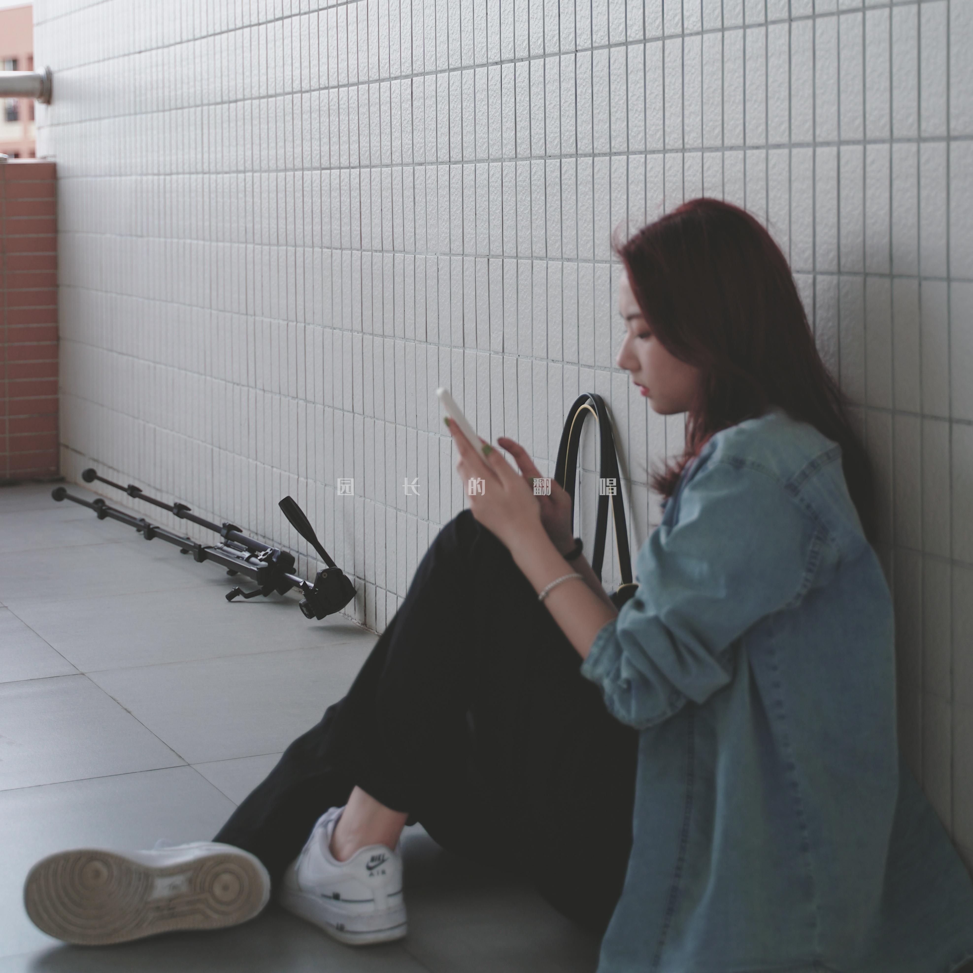 yuan zhang de fan chang II