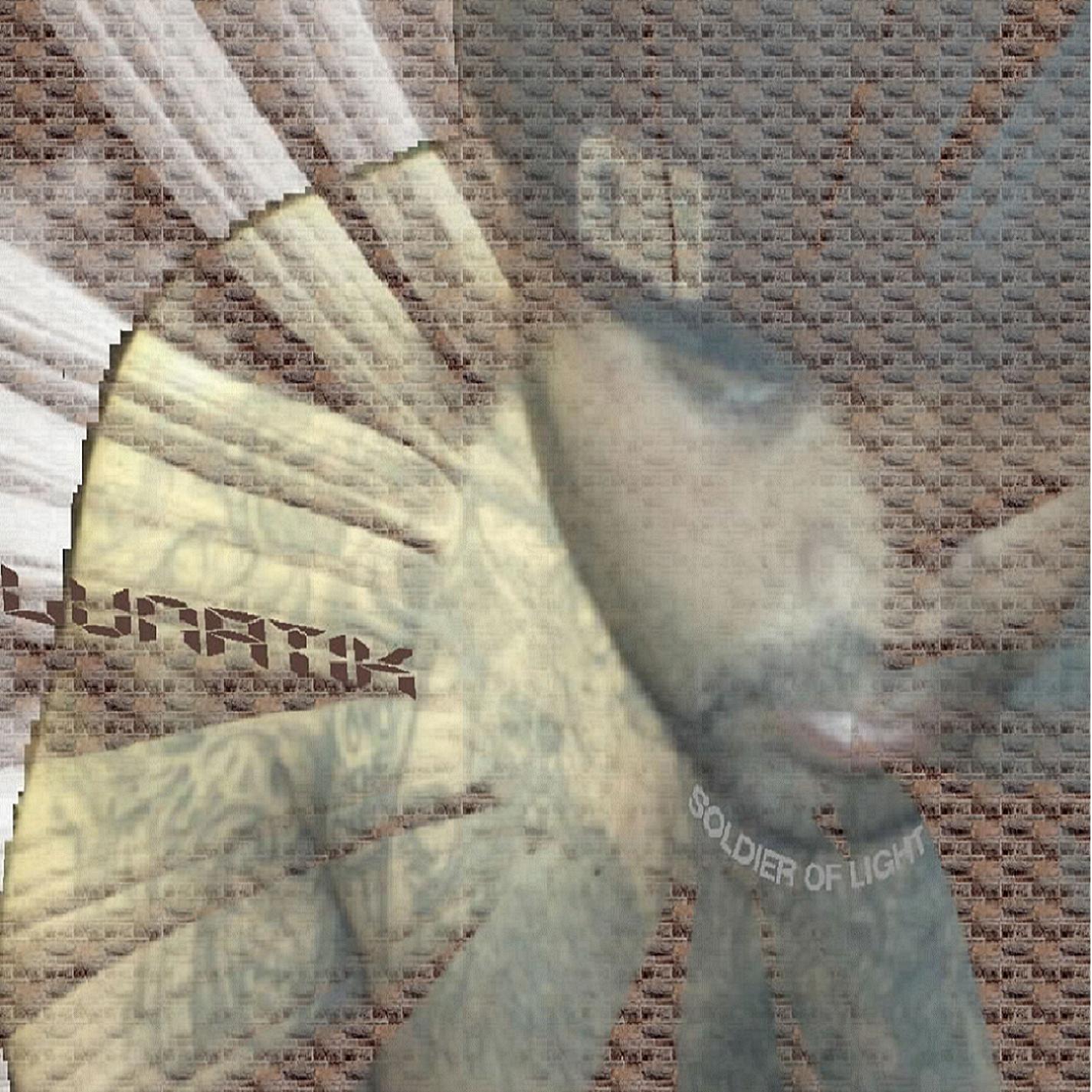 THIS VOICE IN MY HEAD