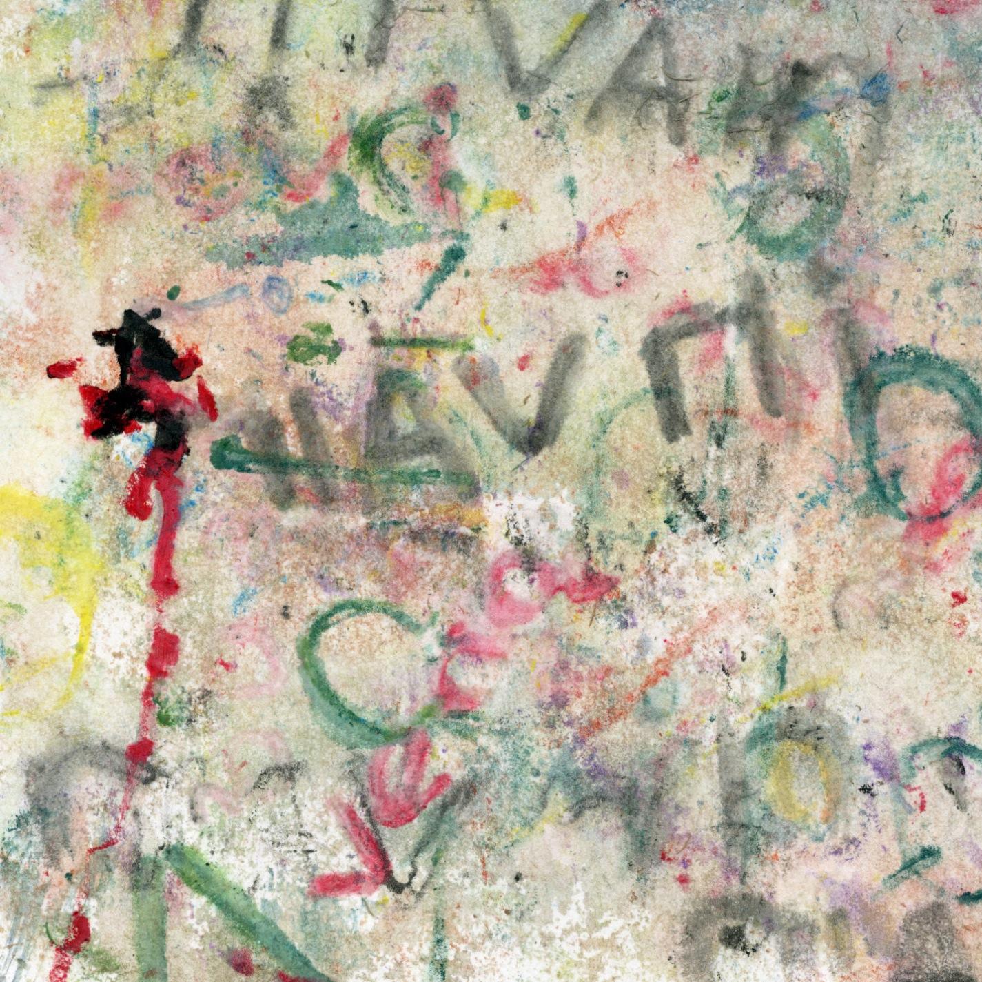 Chronicles Of Anarcho Punk Kid