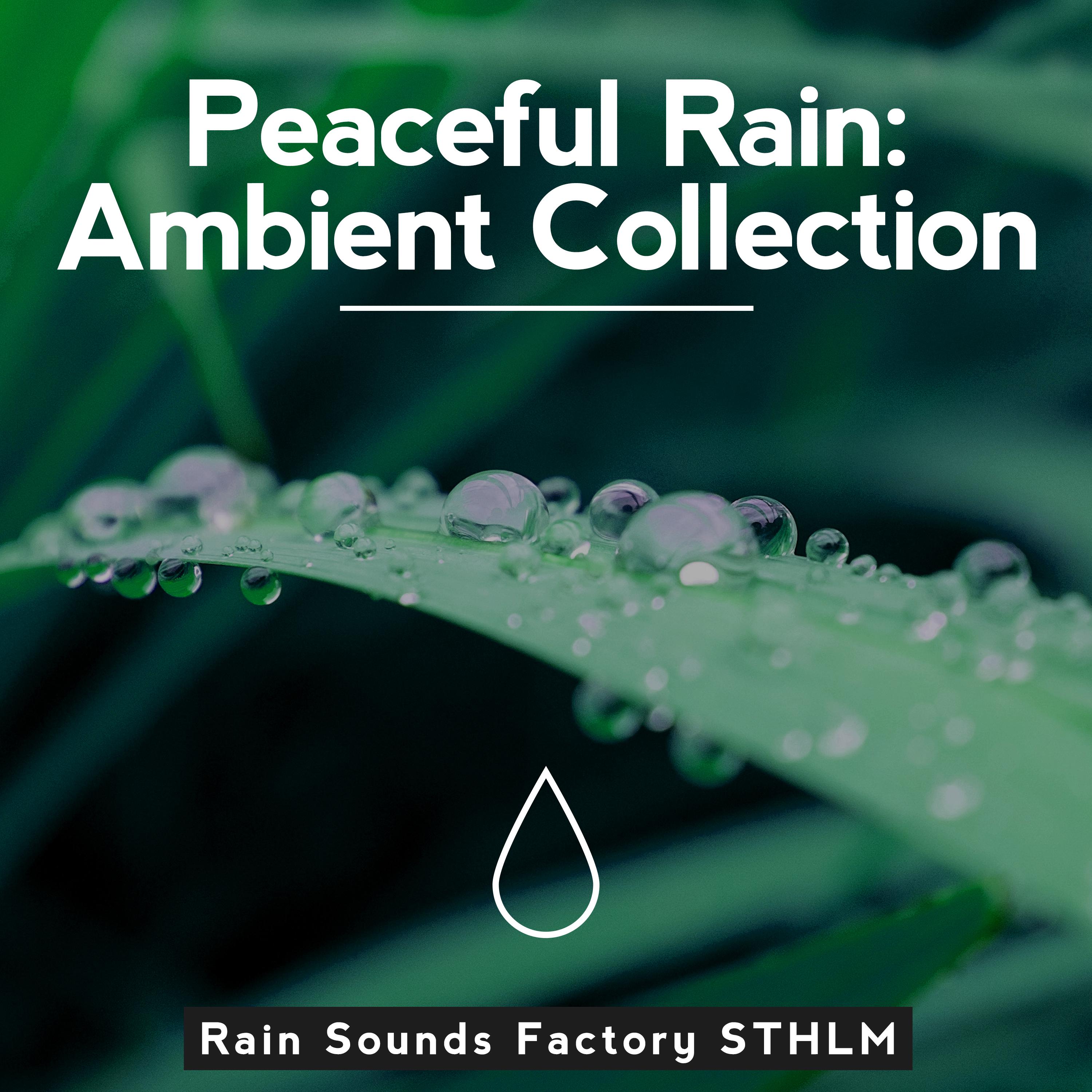 Peaceful Rain: Ambient Collection