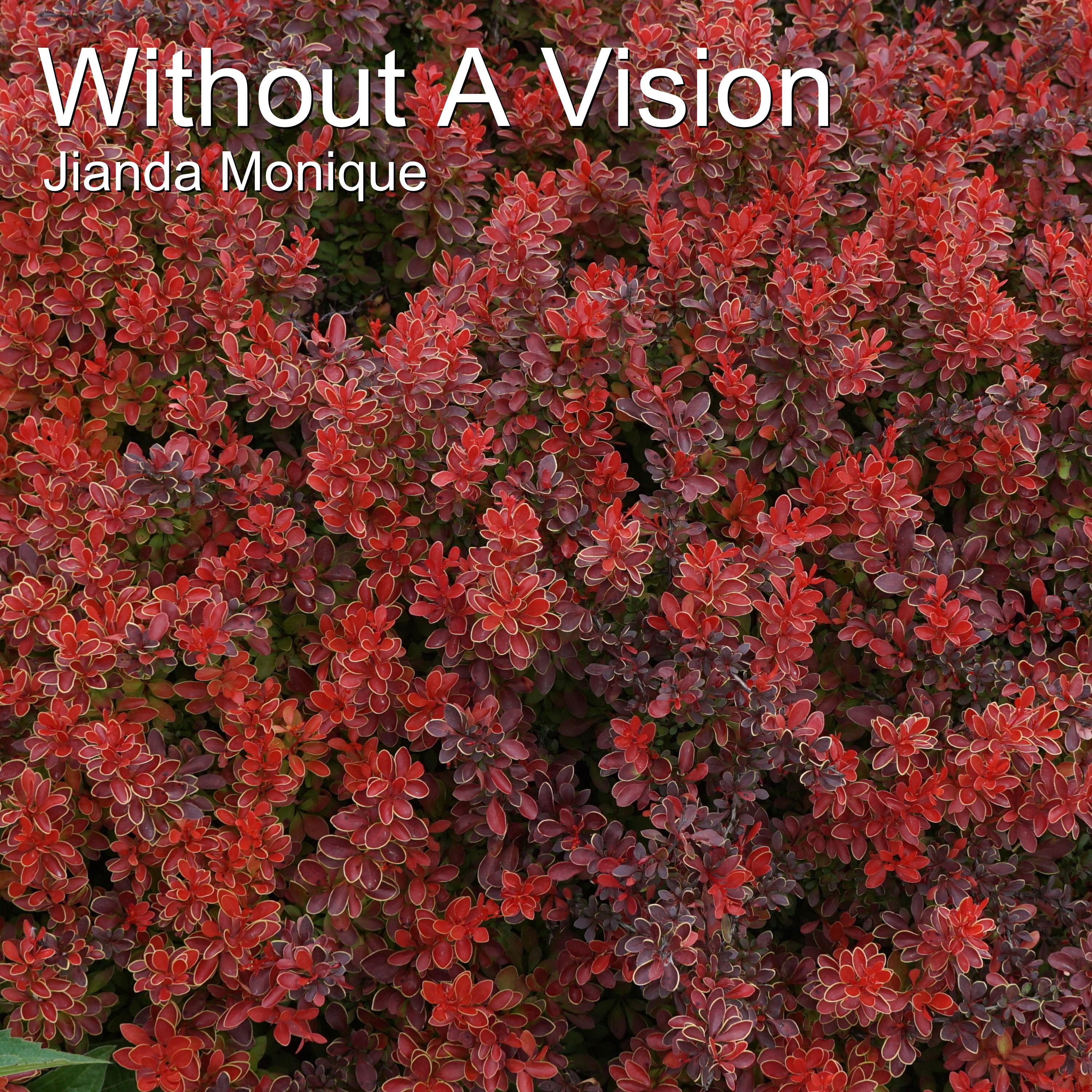 Without a Vision