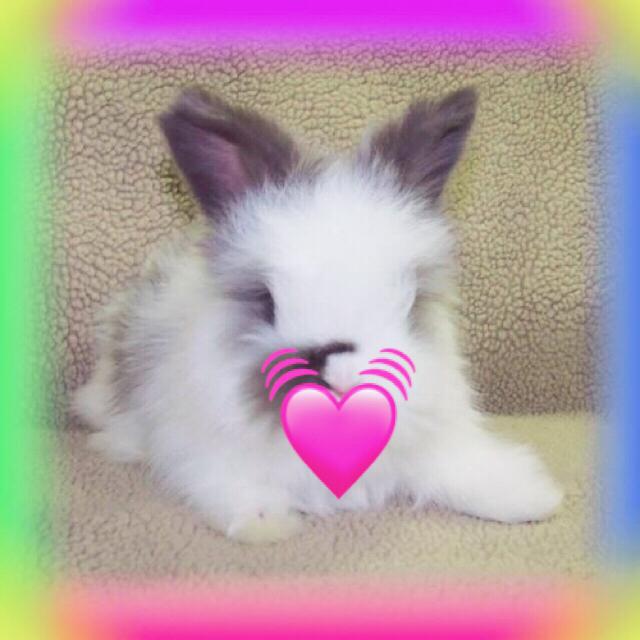 I got cool prod by: Birds of Feather