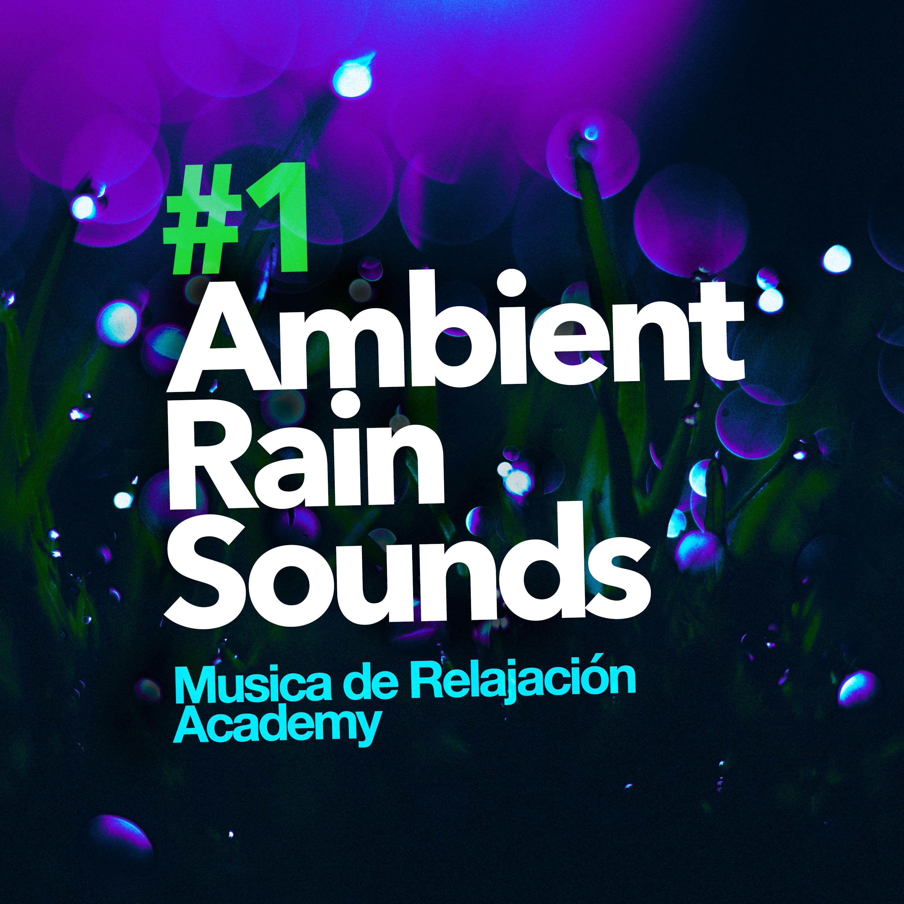 #1 Ambient Rain Sounds