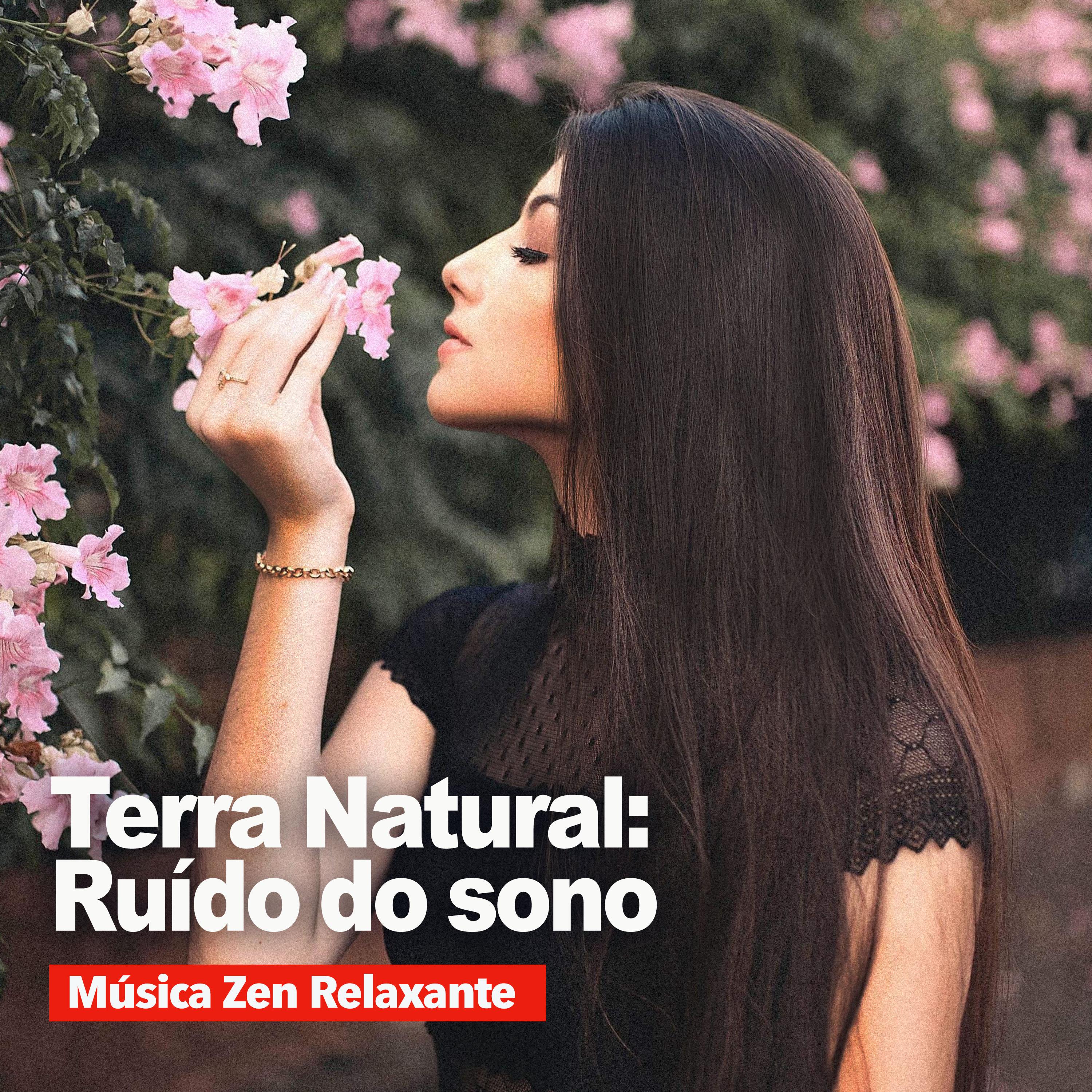 Terra Natural: Rui do do sono