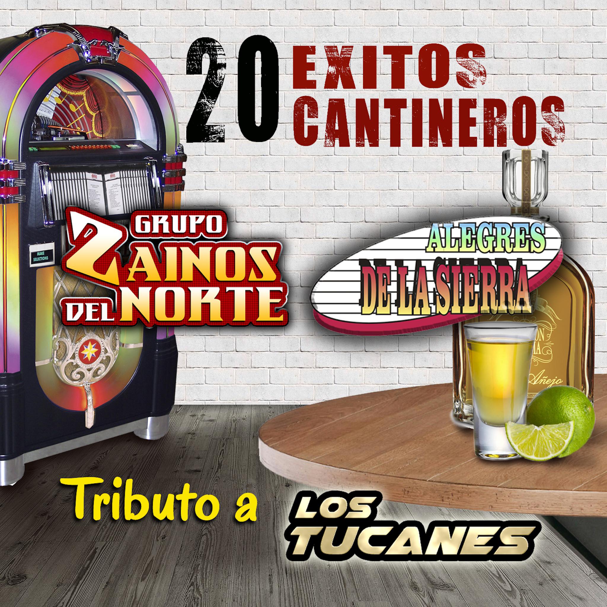 20 Exitos Cantineros