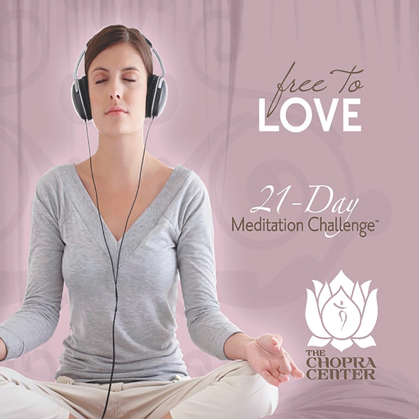 Free to Love: 21-Day Meditation Challenge