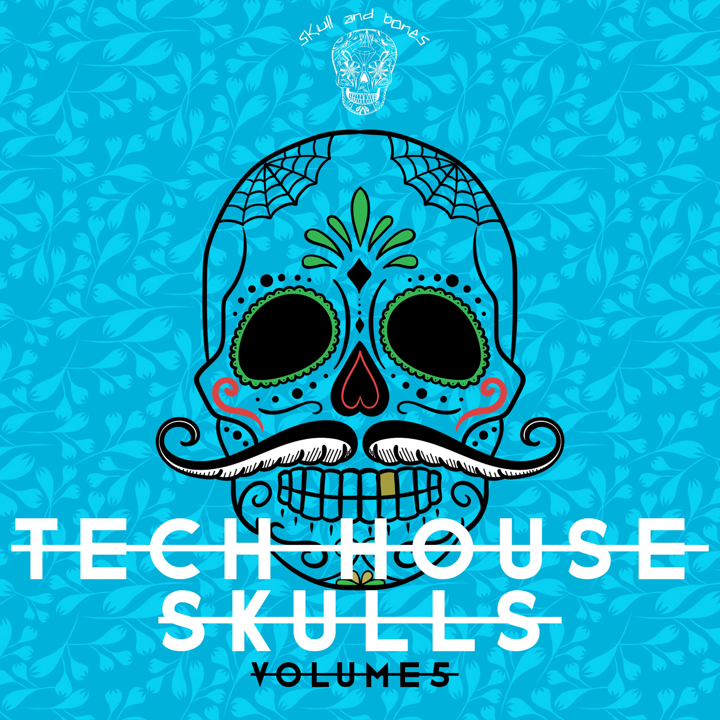 Tech House Skulls, Vol. 5