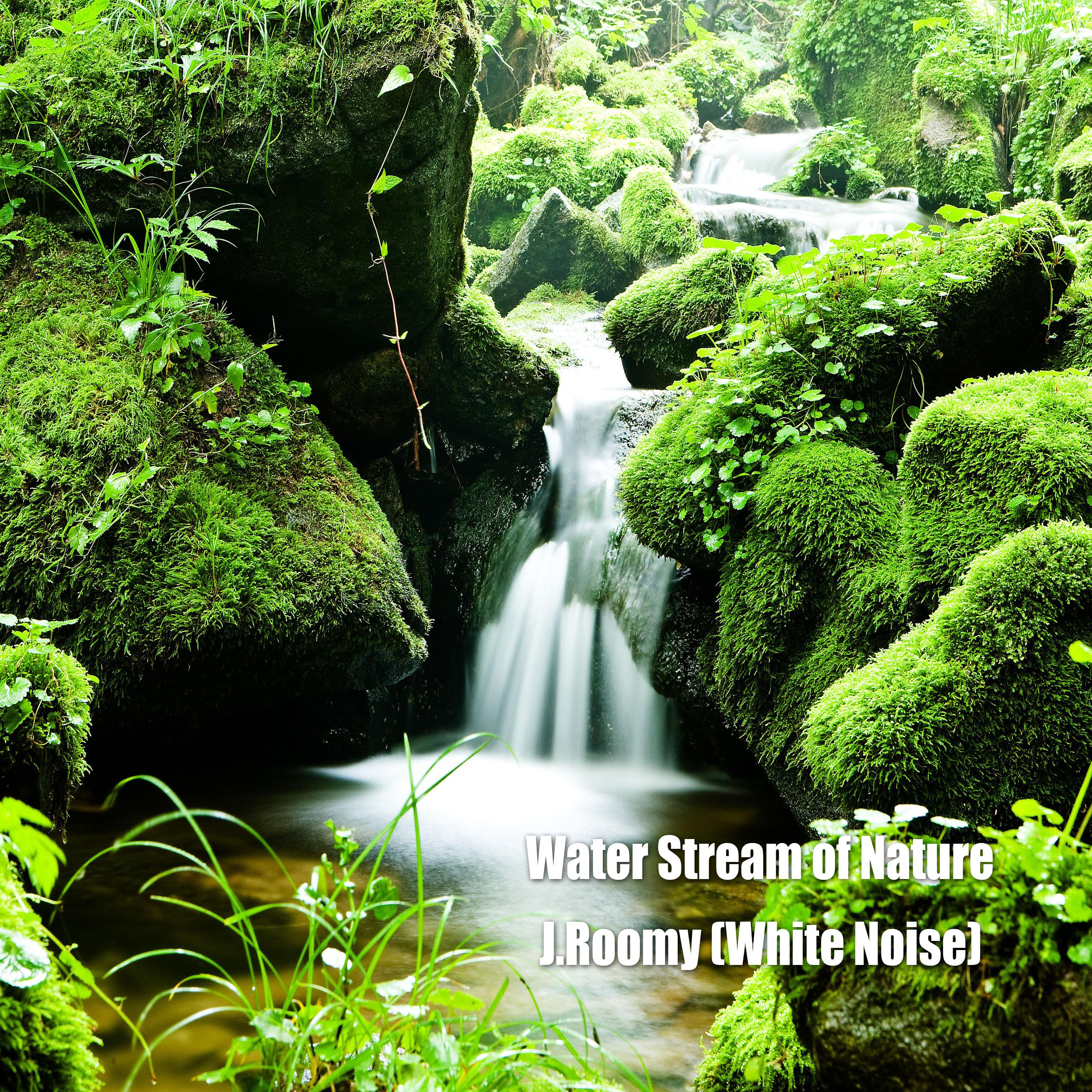 Water Stream of Nature