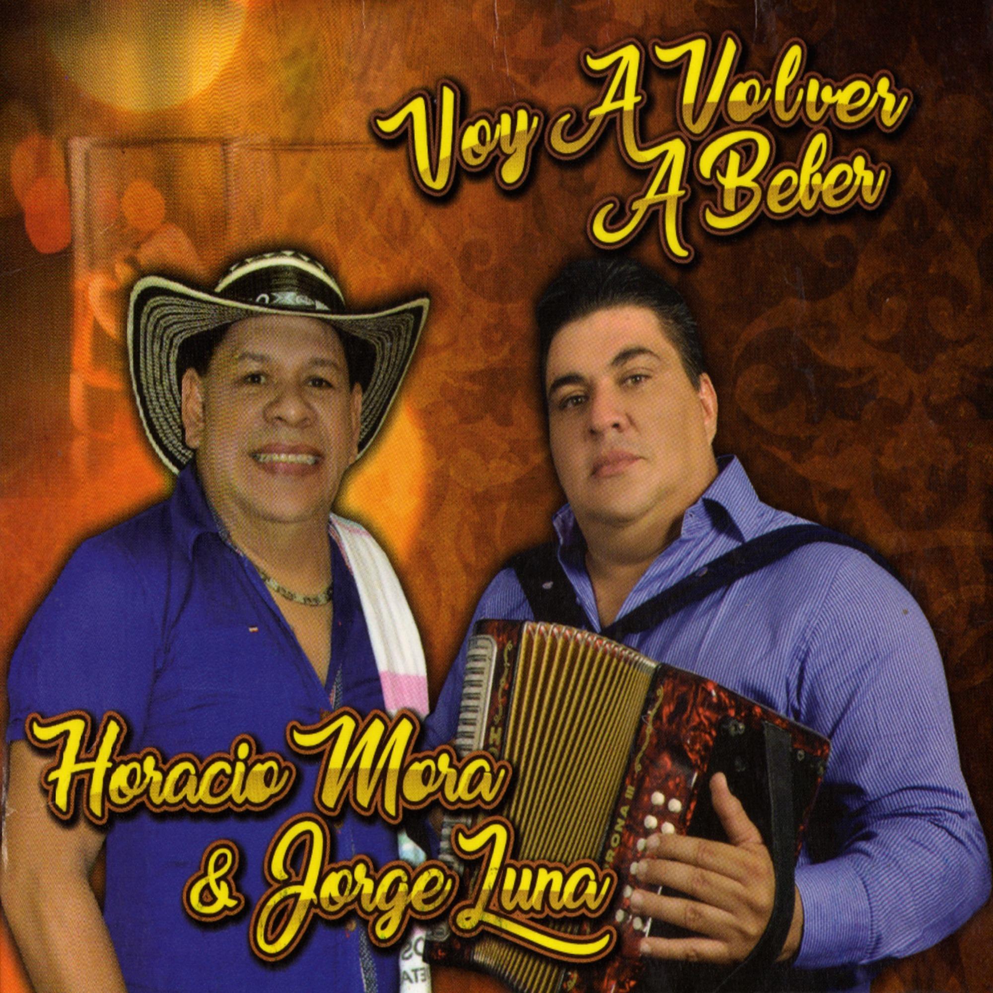 Voy a Volver a Beber