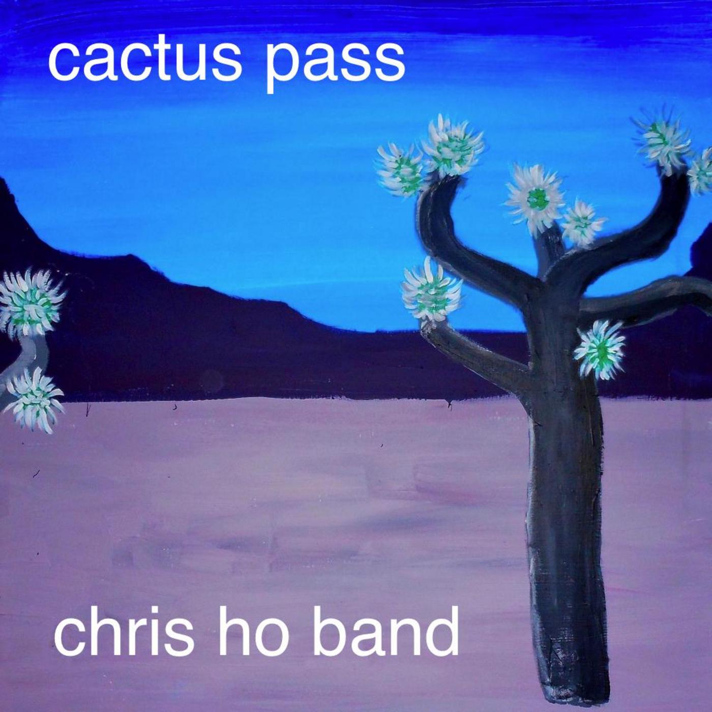 Cactus Pass