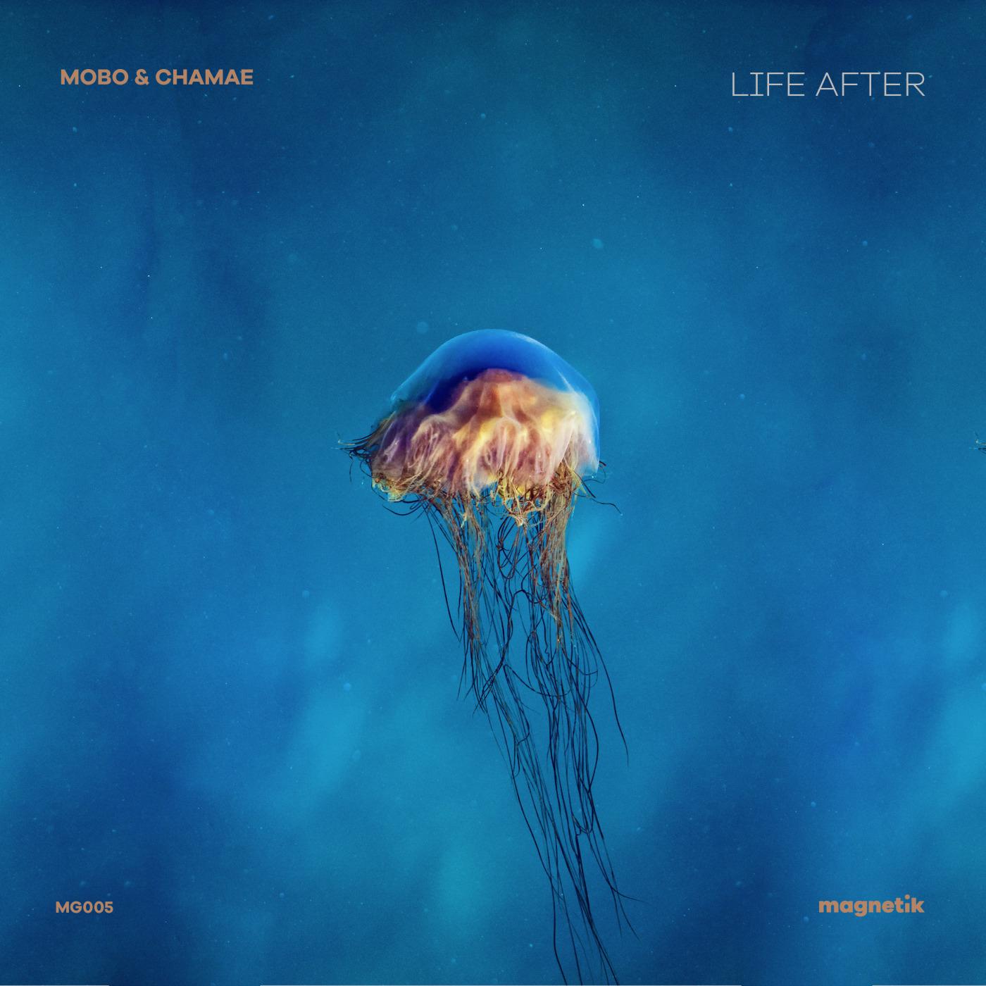 Initializing, Vol. 19