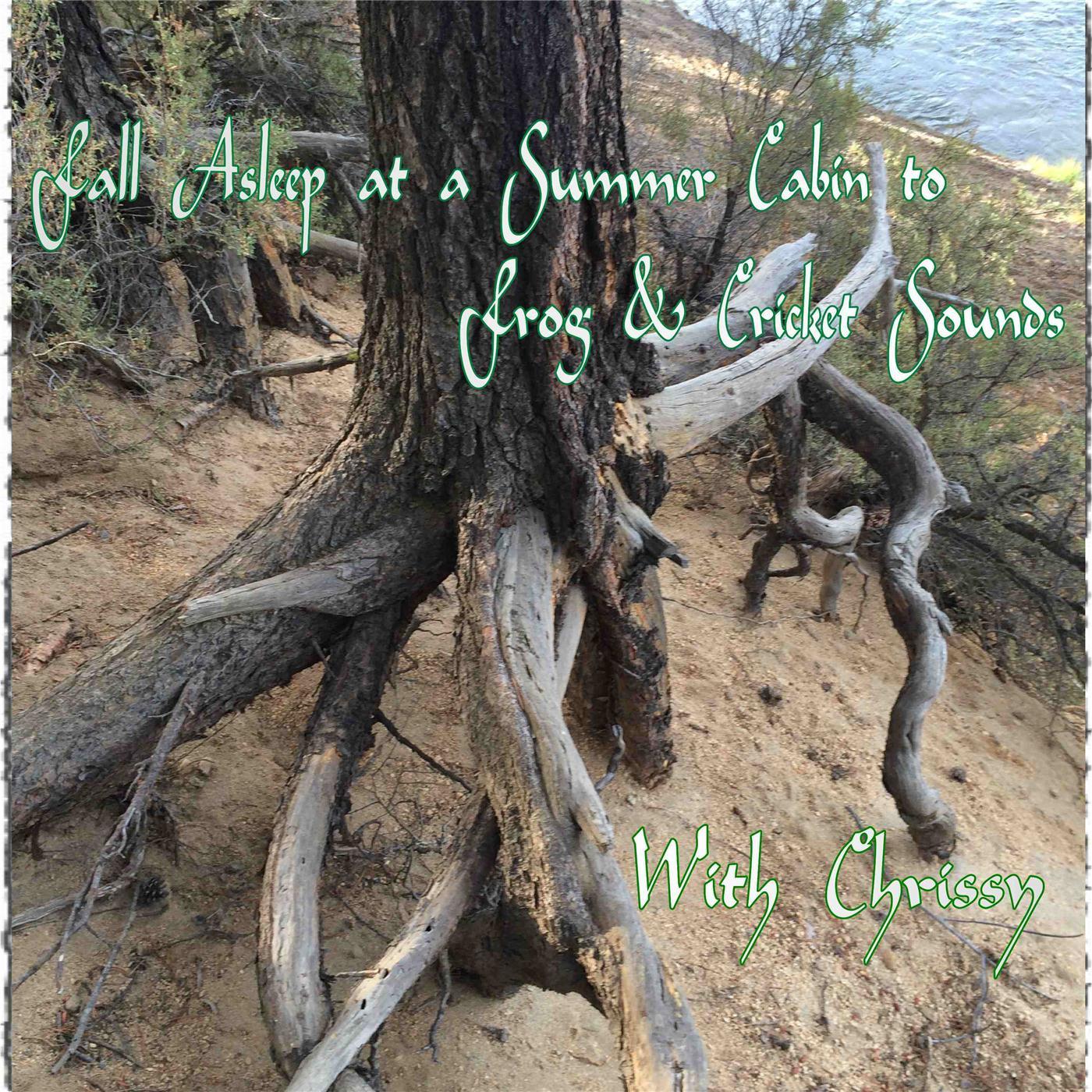 Fall Asleep At a Summer Cabin to Frog & Cricket Sounds With Chrissy