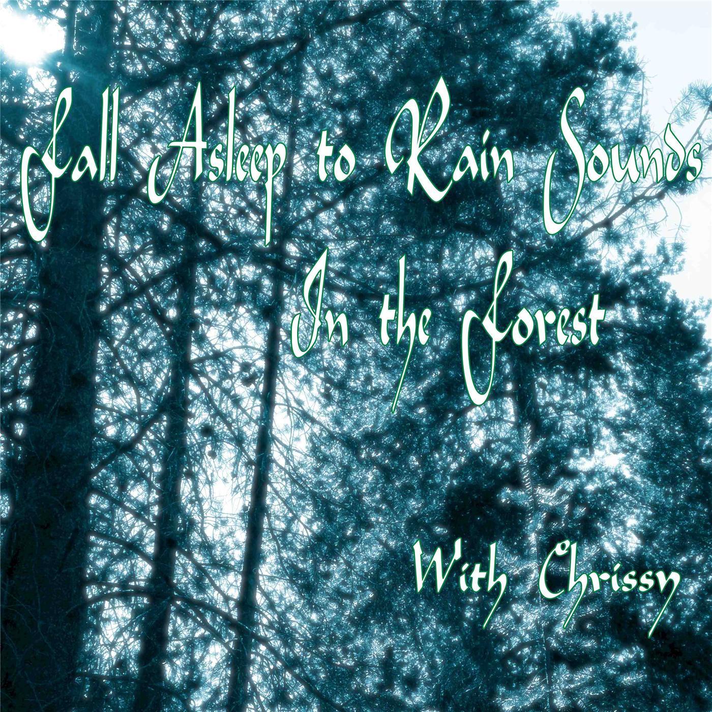 Fall Asleep to Rain Sounds in the Forest With Chrissy