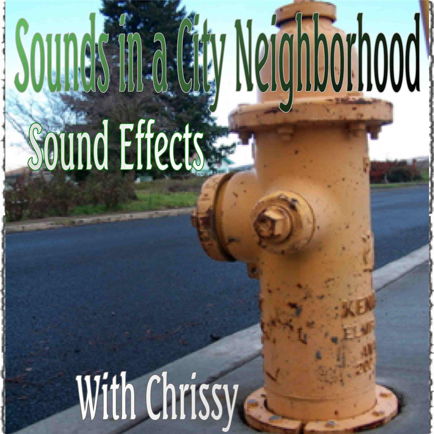 Sprinklers Running in a City Neighborhood