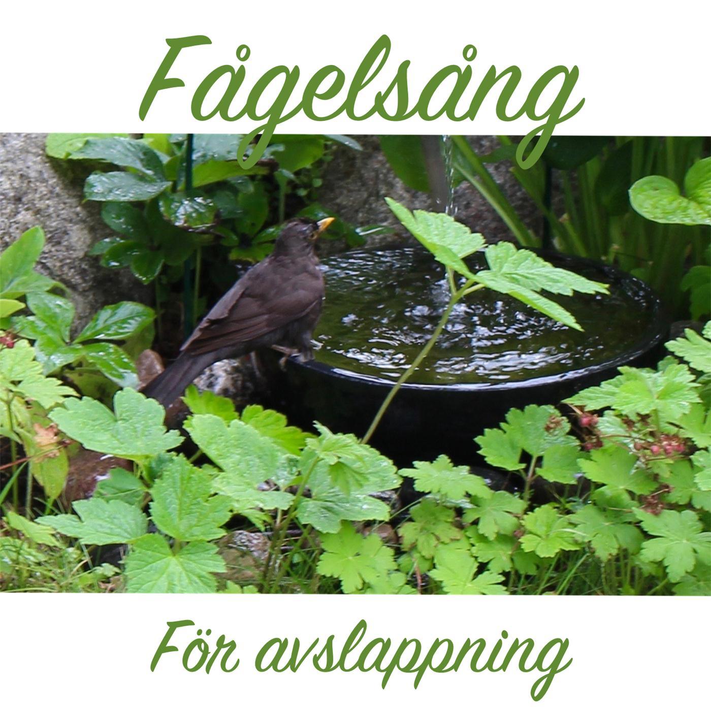 F gels ng f r avslappning