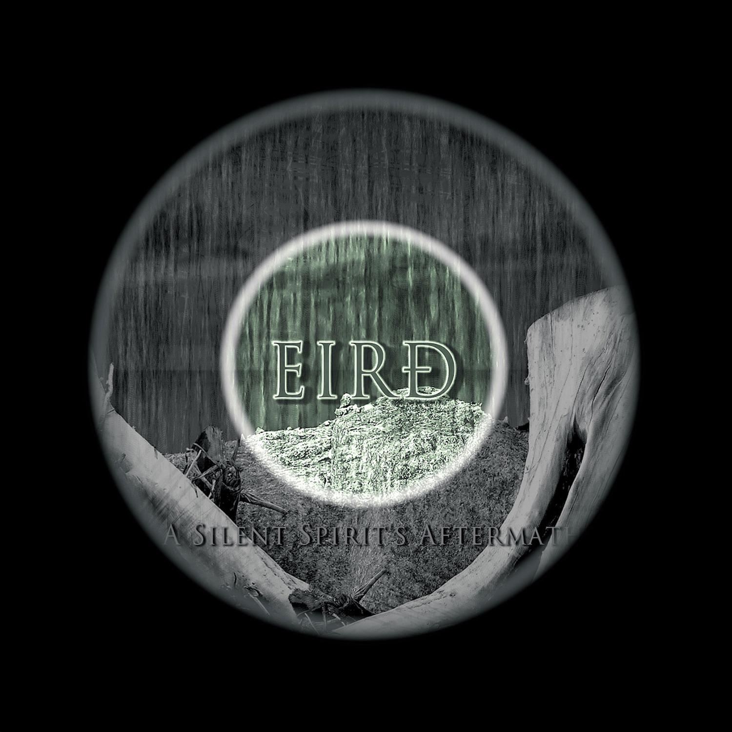 A Silent Spirits Aftermath